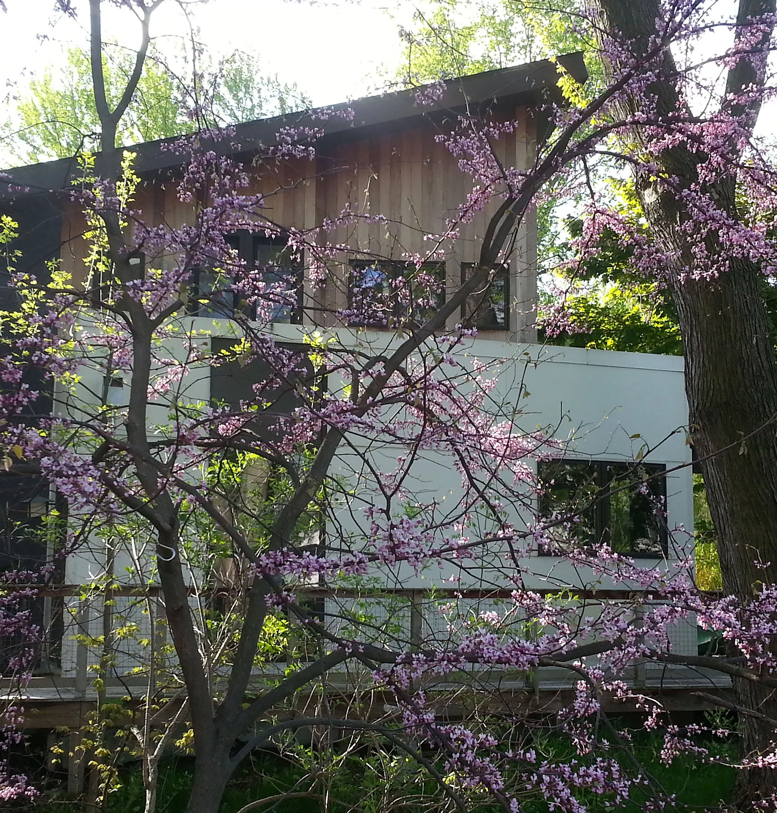 Steelhead_Exterior - Elevation 3b-1.jpg