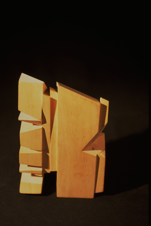 SAMSON architecture - sample_model-natural materials.png