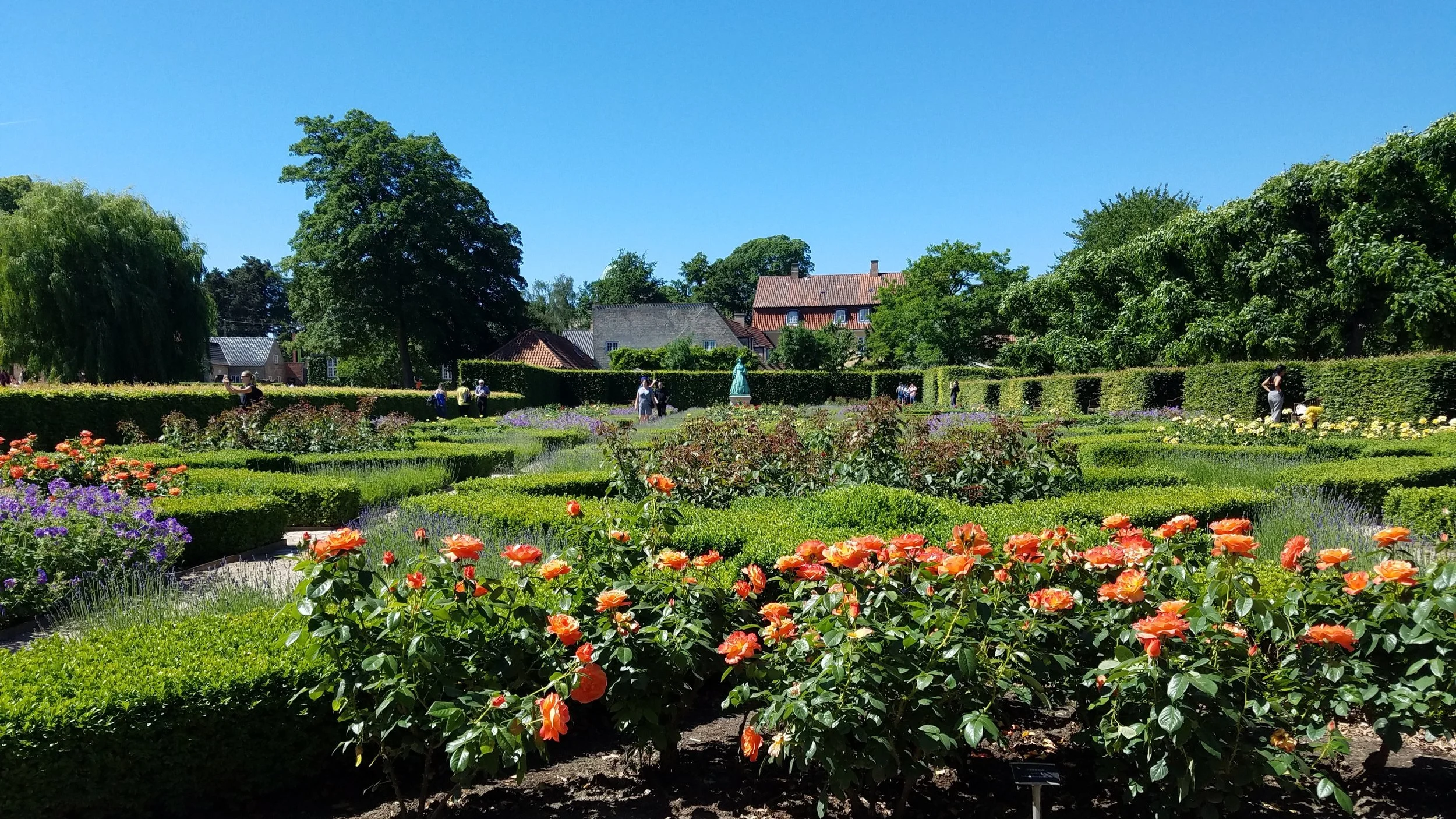 A colorful garden with neatly trimmed hedges, blooming flowers including orange roses, and tall trees under a clear blue sky. People are walking and taking photos in the garden. Rosenberg Castle Gardens, Copenhagen, Denmark