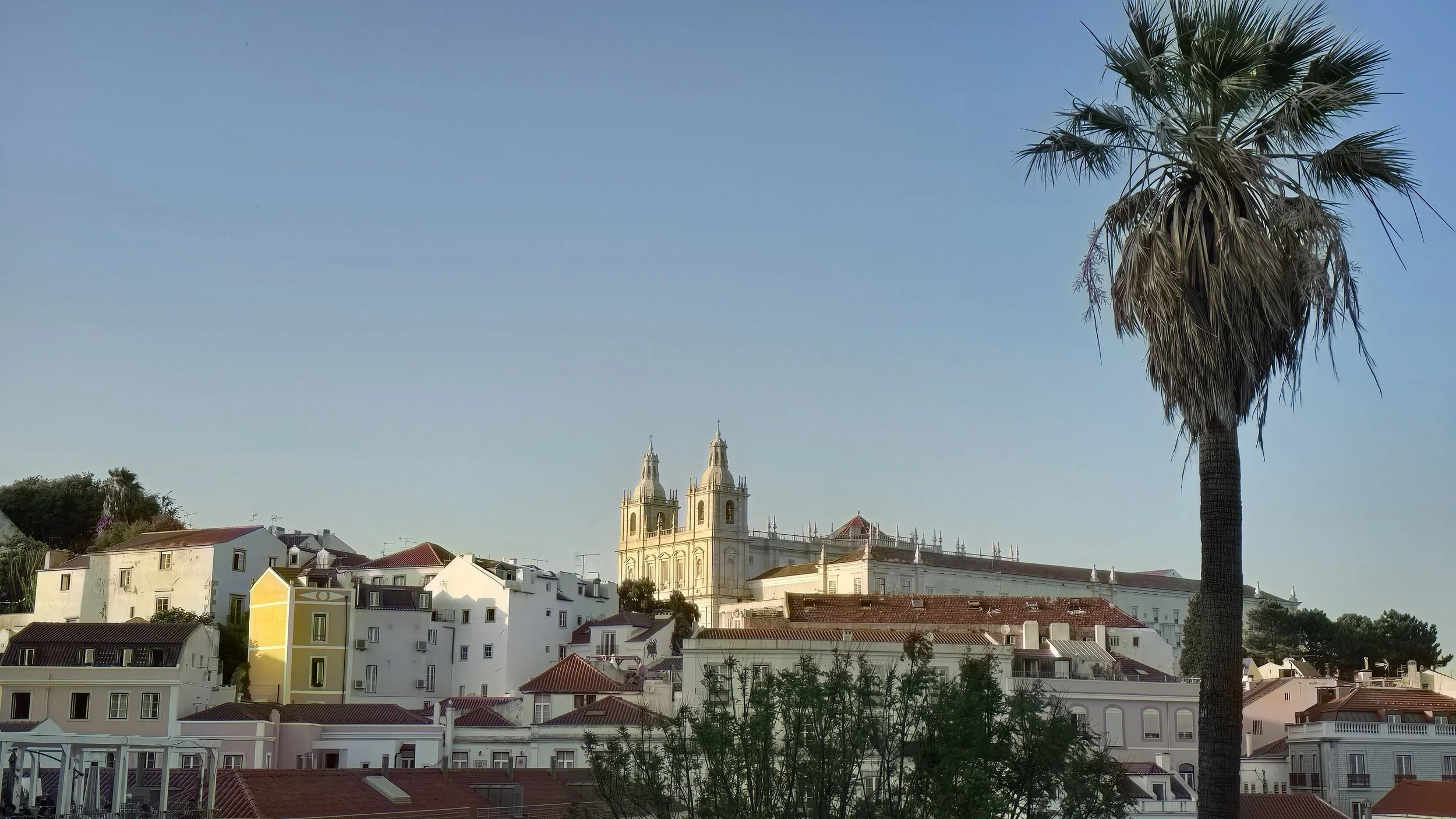 Cityscape with a large palm tree in the foreground, white residential buildings with red-tile roofs, and a historic church with twin steeples in the background against a clear blue sky.