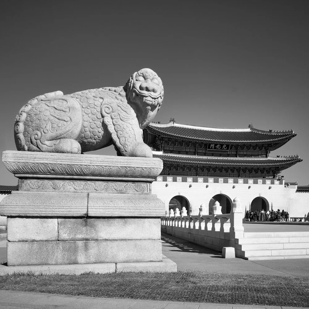 skyjoon-gyeongbokgung-gwanghwamun-haetae-monochrome-007.jpg