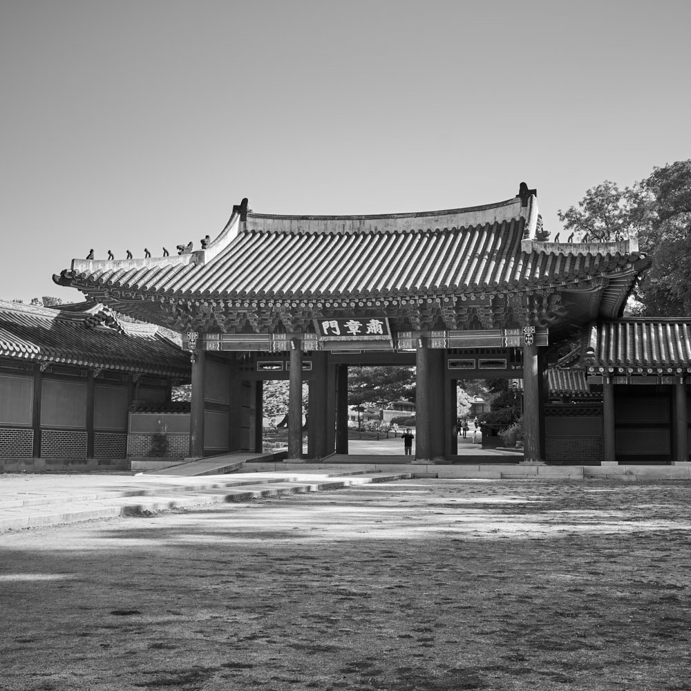 skyjoon-changdeokgung-donhwamun-monochrome-004.jpg