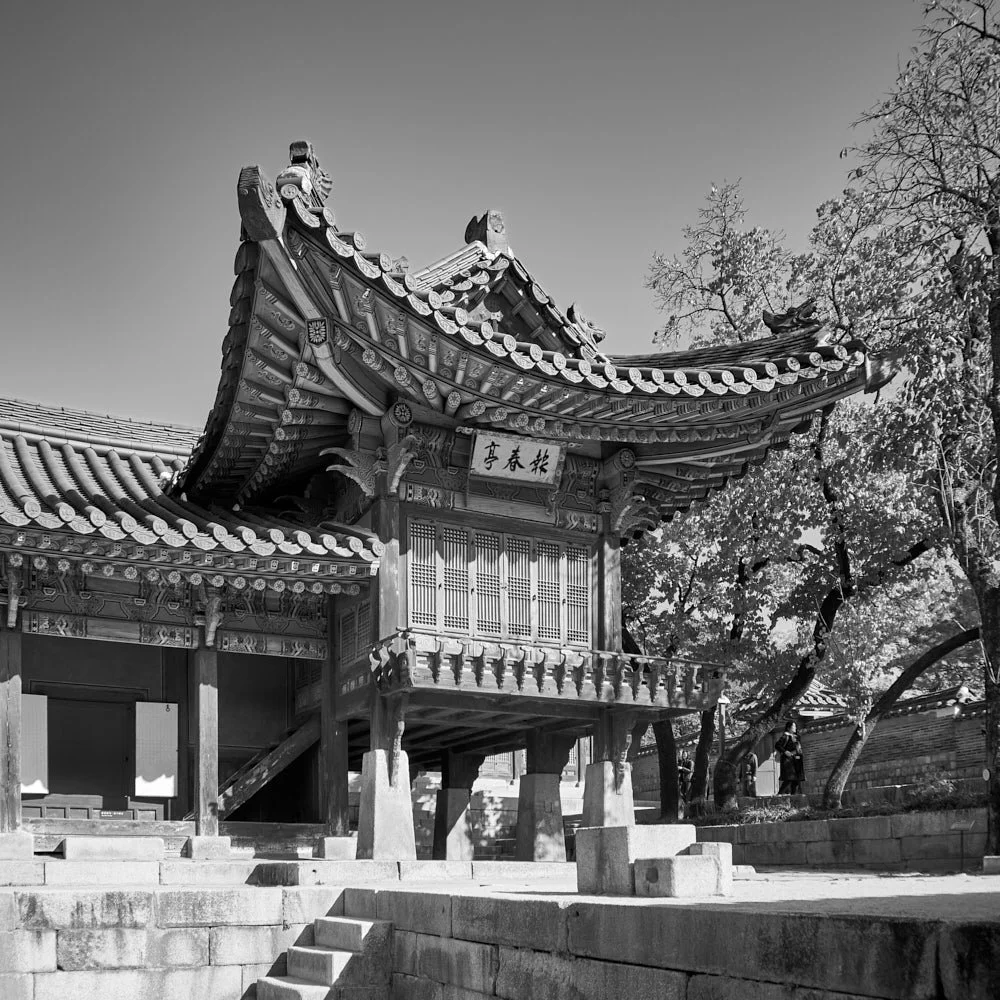 skyjoon-changdeokgung-nakseonjae-pavilion-monochrome-014.jpg