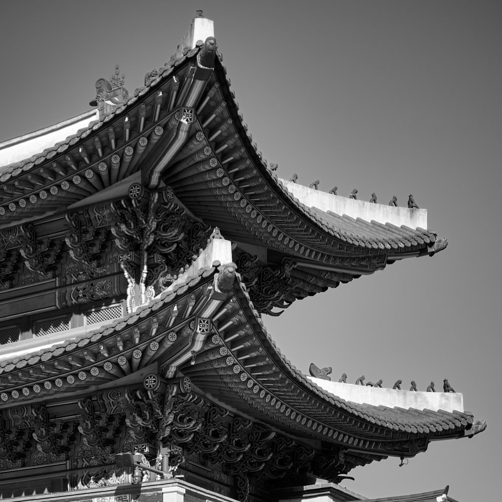 skyjoon-korean-palace-roof-detail-monochrome-002.jpg