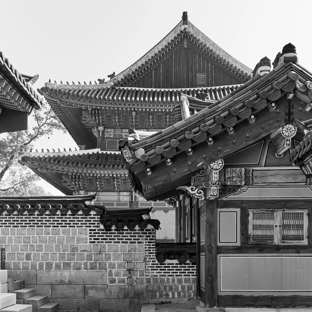 skyjoon-changdeokgung-palace-roofs-monochrome-006.jpg