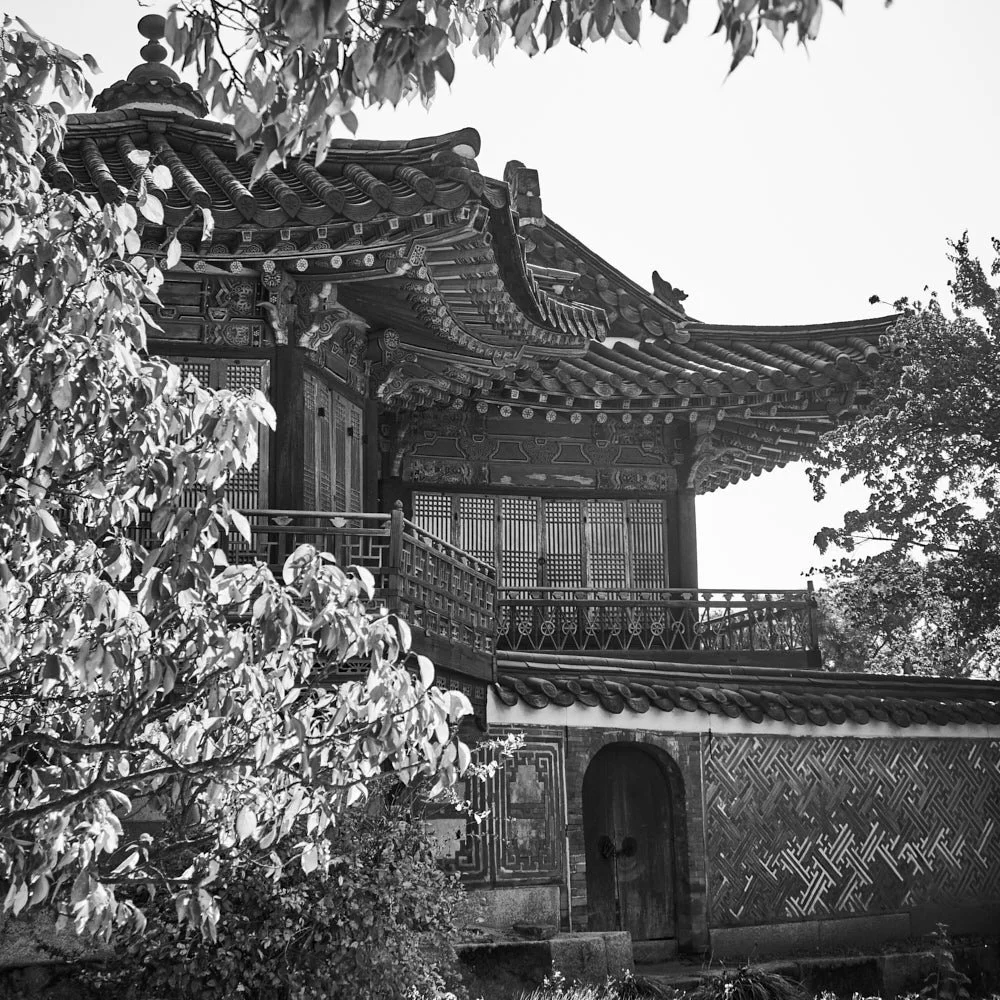 skyjoon-changdeokgung-nakseonjae-garden-view-monochrome-016.jpg