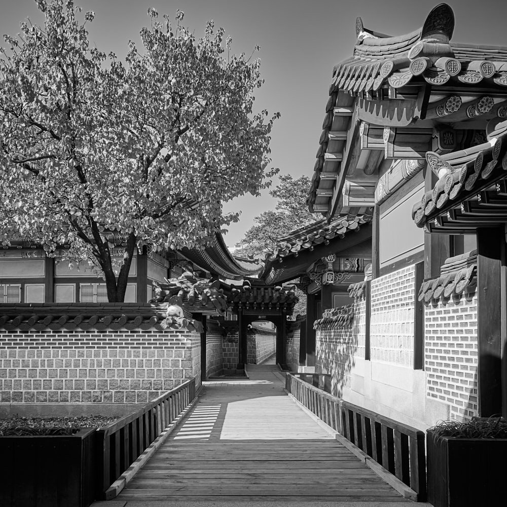 skyjoon-changdeokgung-palace-walkway-monochrome-011.jpg