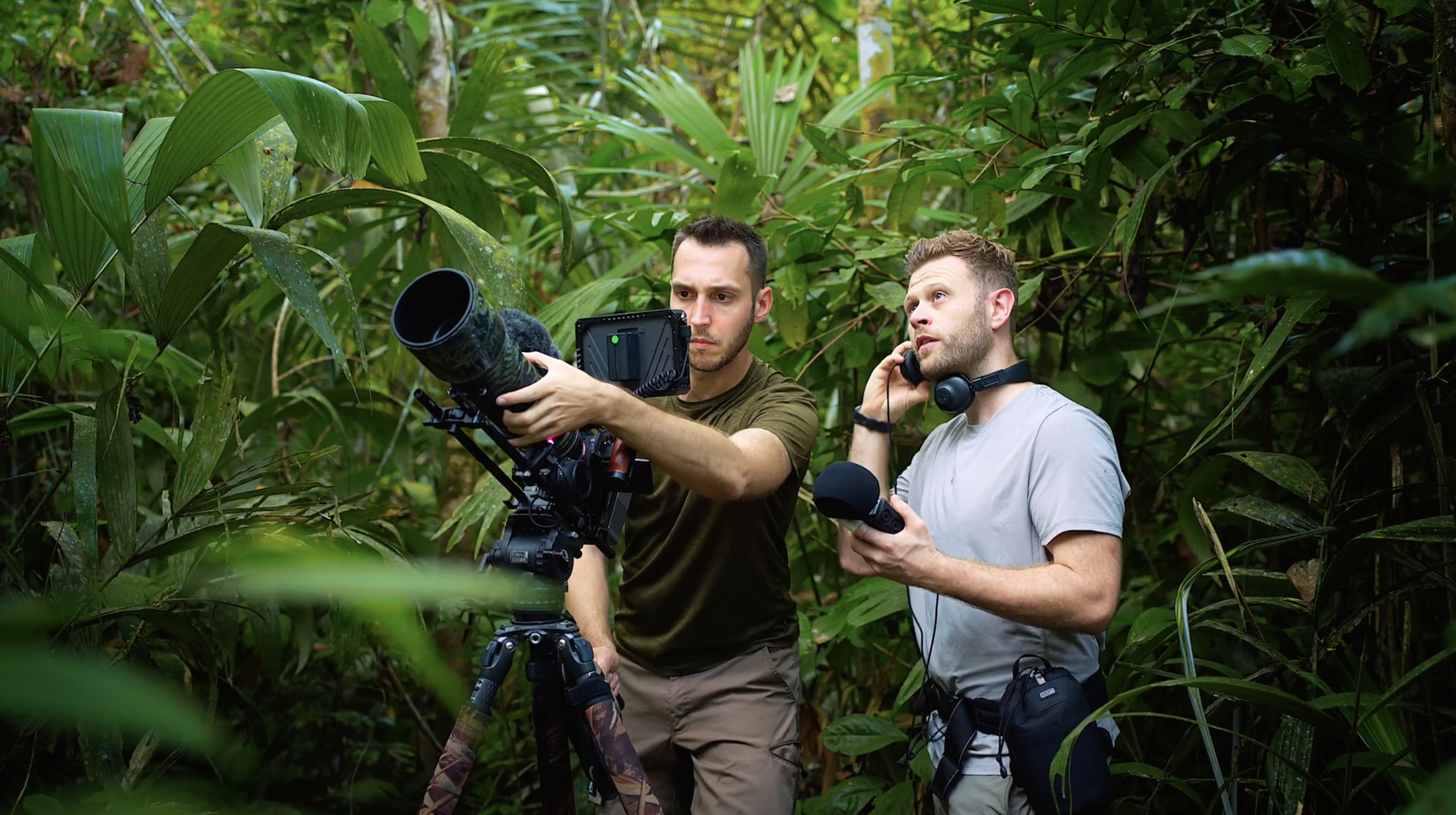 Two men working in a dense green jungle with camera equipment, one adjusting a camera and the other on a audio recorder, surrounded by lush foliage.