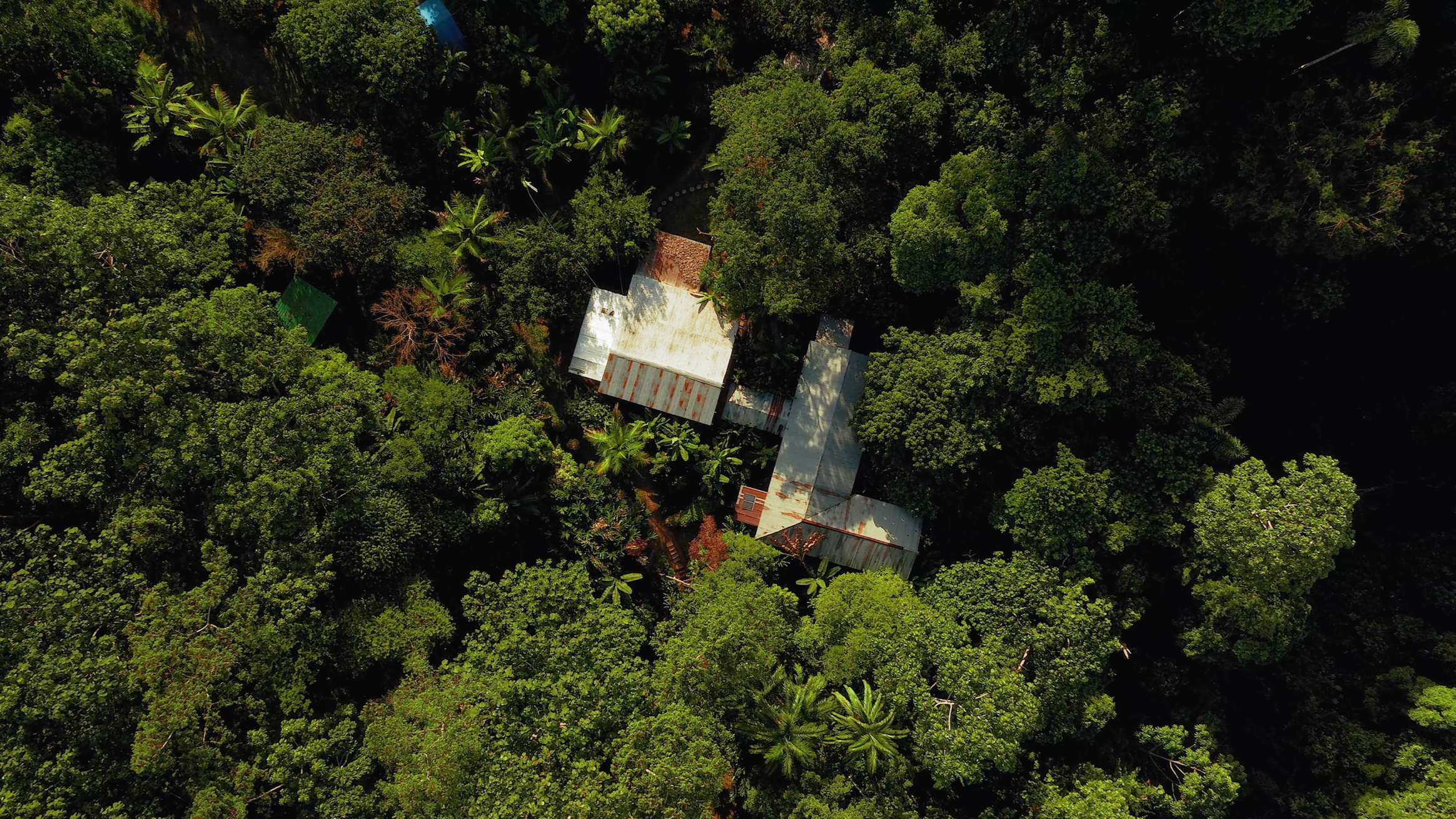An aerial view of a house surrounded by dense green forest, with a rusty metal roof and tall trees showing Secret Forest Station of the Conservation and Research NGO Fauna Forever, that also offers volunteering programs in the Amazon Rainforest.