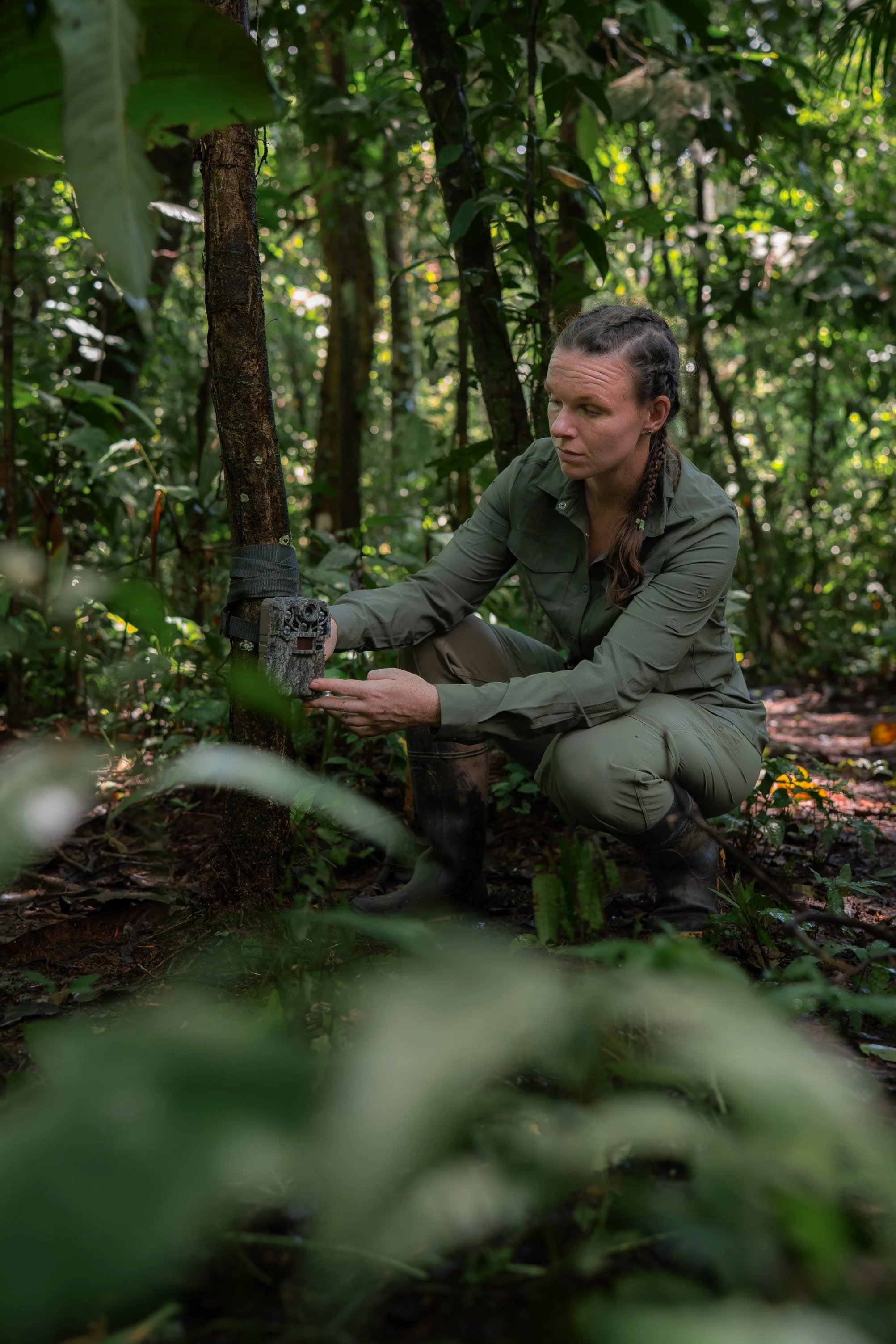 Nadine Holmes, a researcher with the NGO Fauna Forever and Wilderness International crouching in a dense jungle, attaching a camera trap or trail camera to a tree trunk in the lowland amazon rainforest of Peru