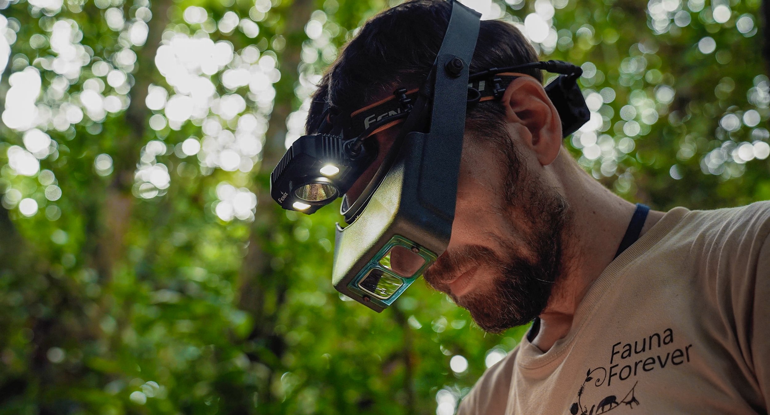 Chris Ketola, a person in a forest with a headlamp, wearing a beige t-shirt with a logo that reads "Fauna Forever" and a head strap for the headlamp in the lowland amazon rainforest of Peru doing ornithological research at Fauna Forever