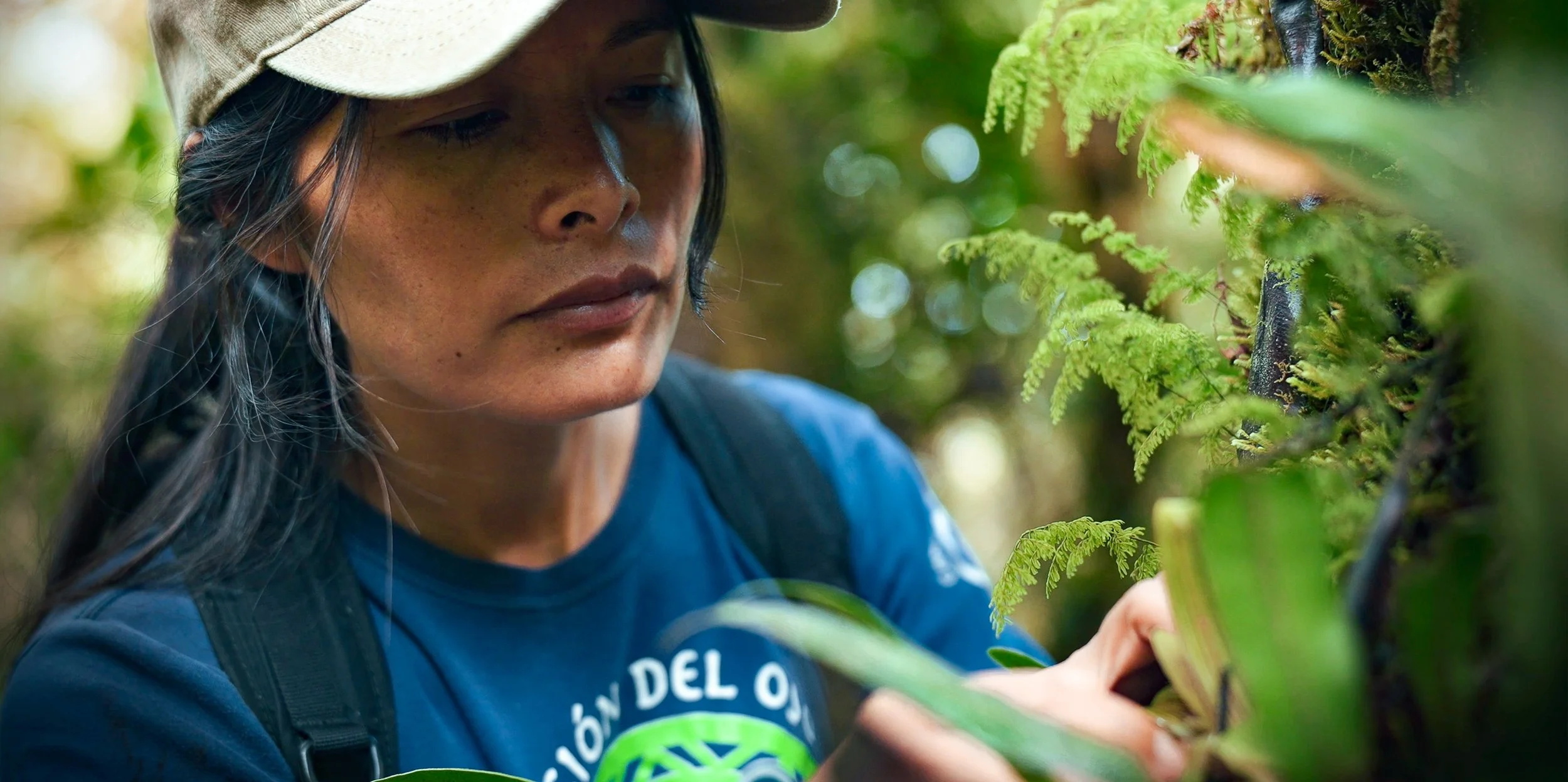 Ruthmery Pillco Huarcaya, an Andean woman outdoors in a forest with a tan hat and a blue shirt examining green moss and plants on a tree trunk at Wayqecha Biological Station in the high Andean cloud forest in Peru