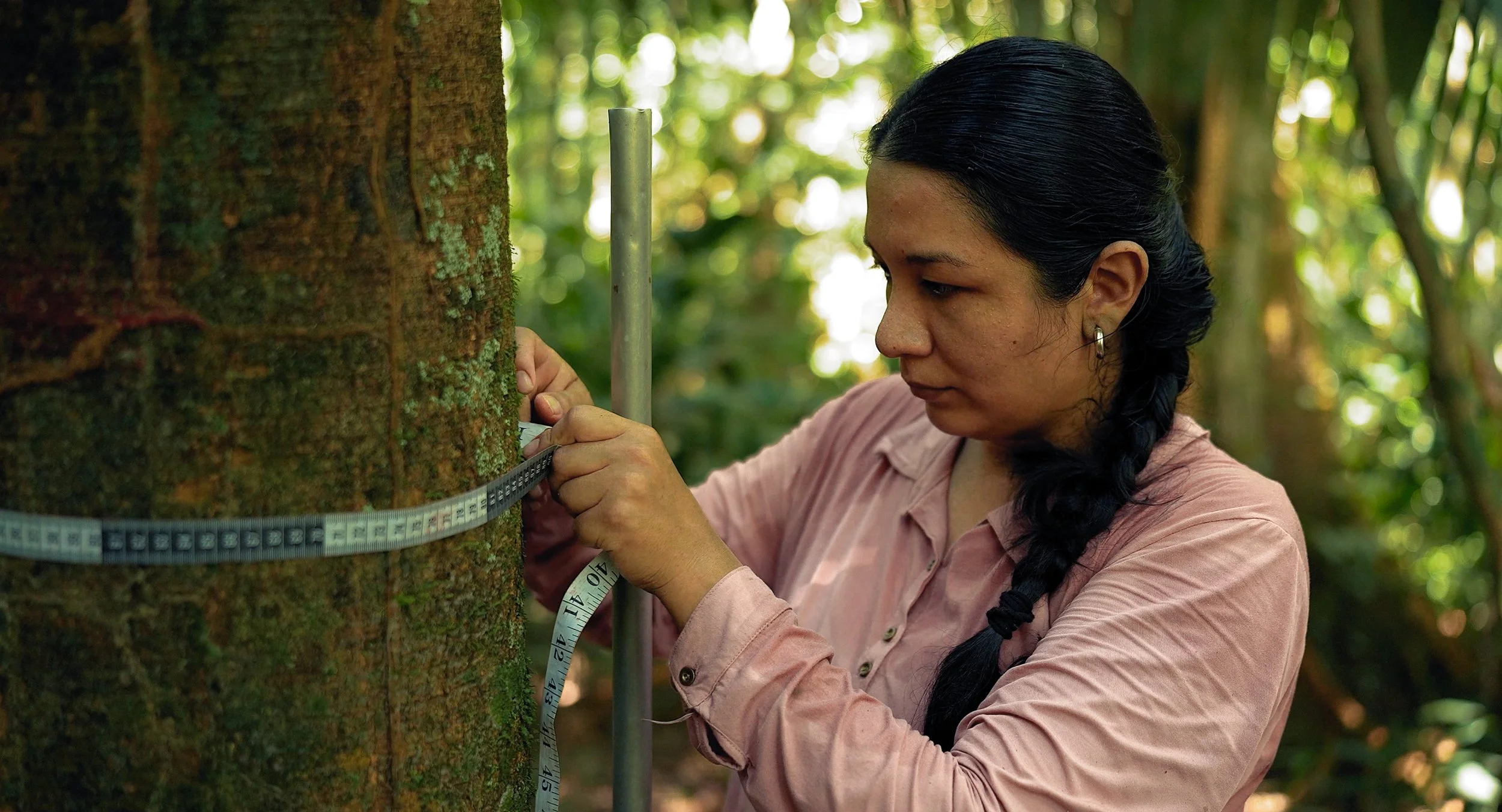 Gabriela Veneros, a peruvian woman with black hair braided over her shoulder measures a tree trunk's circumference with a measuring tape in a forest for Fauna Forever and Wilderness International