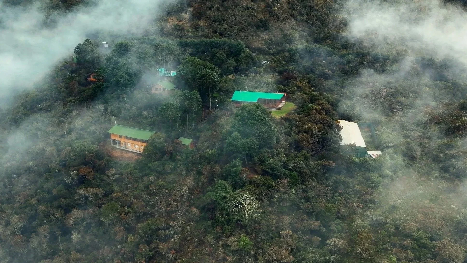 Aerial view of houses of Wayqecha Biological Station with colorful roofs surrounded by dense greenery and fog in a mountainous area of the Andean cloud forest in Peru. Ruthmery Pillco Huarcaya leads the Andean Bear Research project here. 