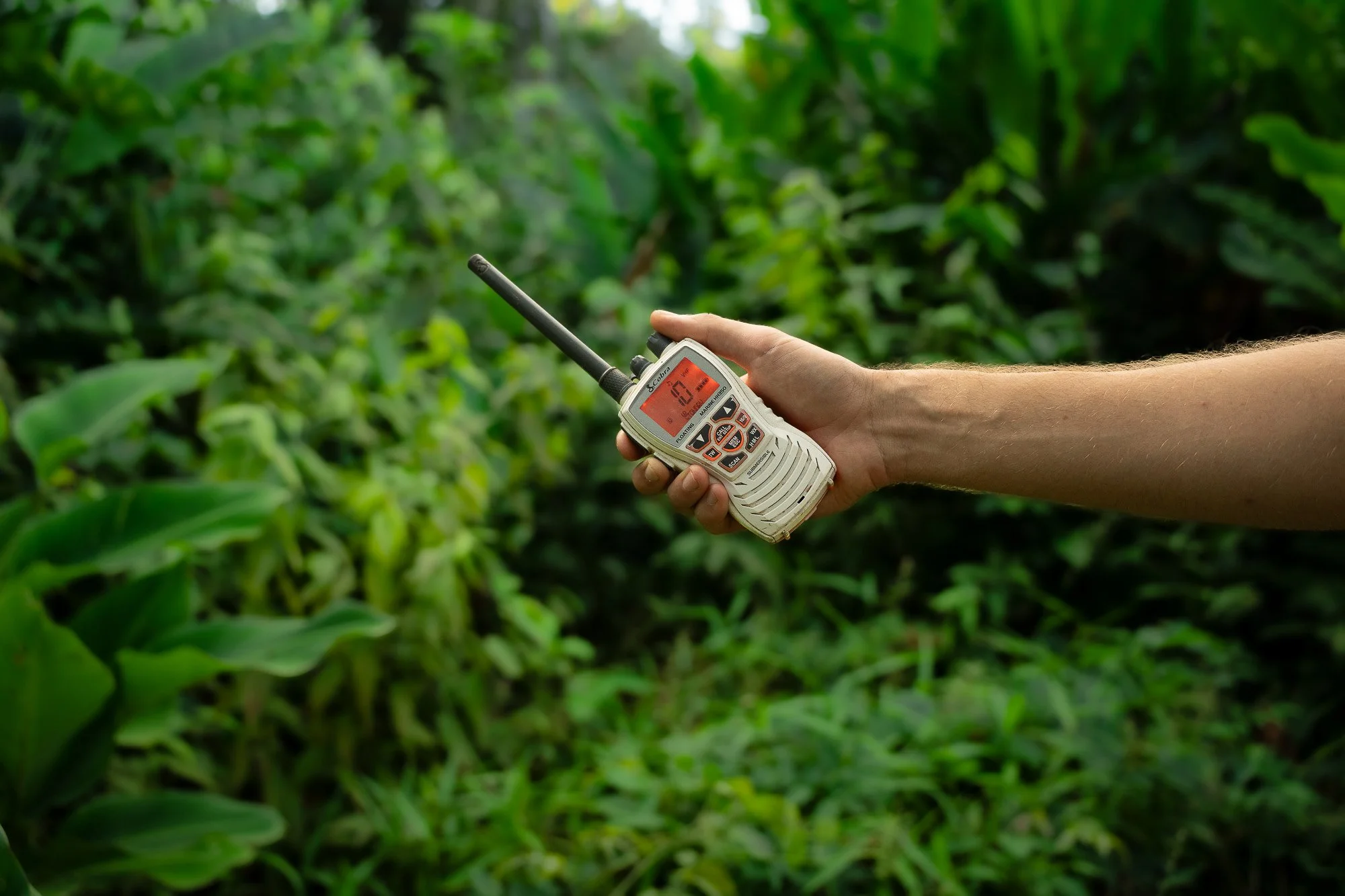 A person holding a handheld walkie-talkie or radio in a green, lush farm or garden setting of the jungles of the Peruvian lowland Rainforest.
