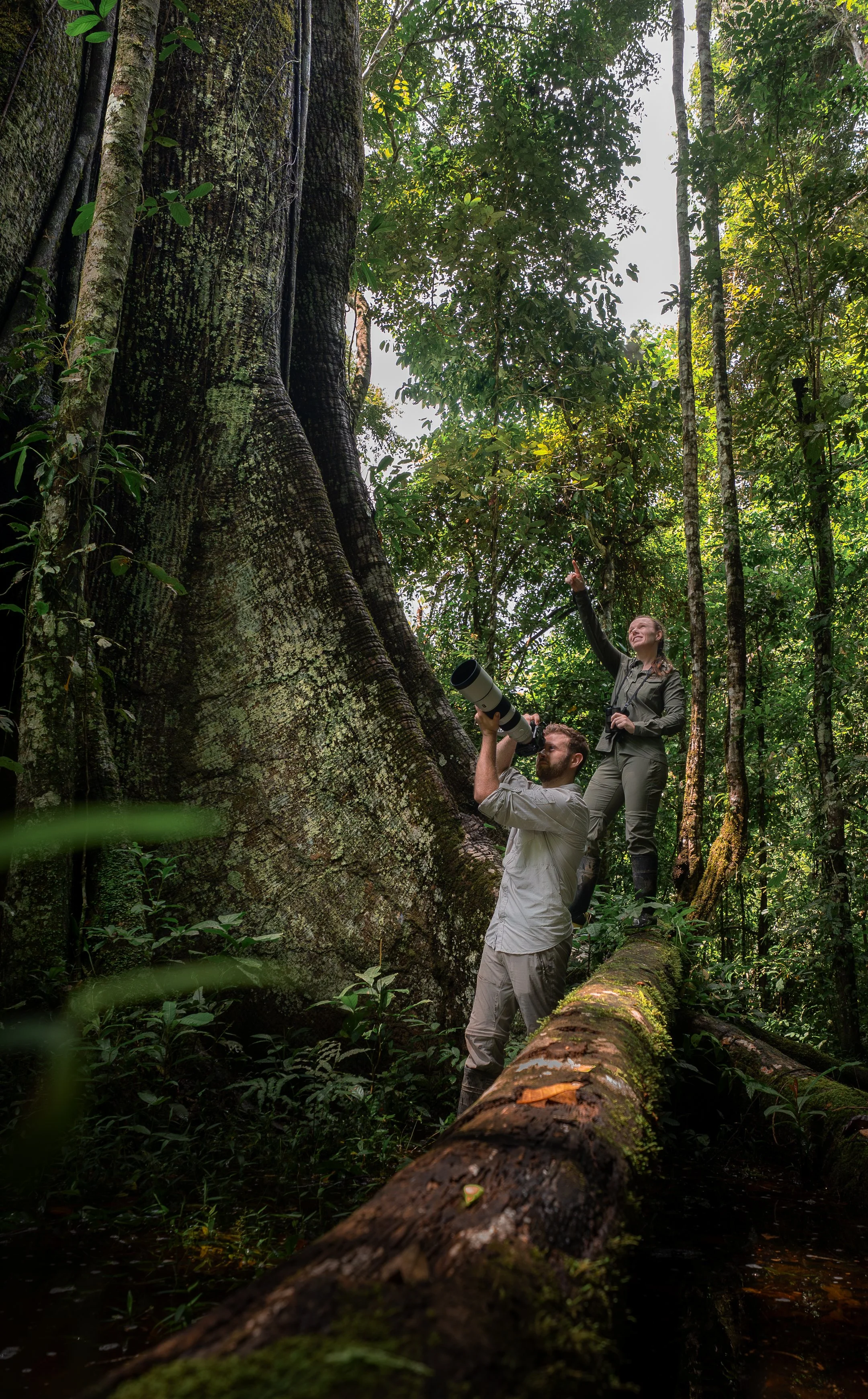 Two people, Nadine Holmes and Luke Pembroke, in the lowland amazon rainforest in Peru, one is holding binoculars and looking up, the other is pointing at a tall tree in the Wilderness International protected areas