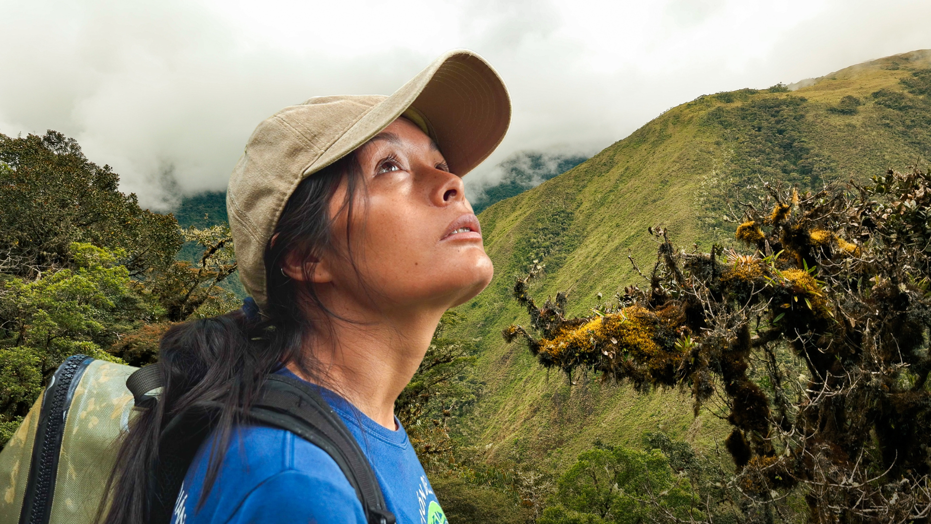 Ruthmery Pillco Huarcaya, an Andean woman ans National Geographic Explorer, wearing a beige hiking hat and blue shirt, carrying a backpack, looks up at green mountains with clouds in the background during a hike at Wayqecha Biological Station in Peru
