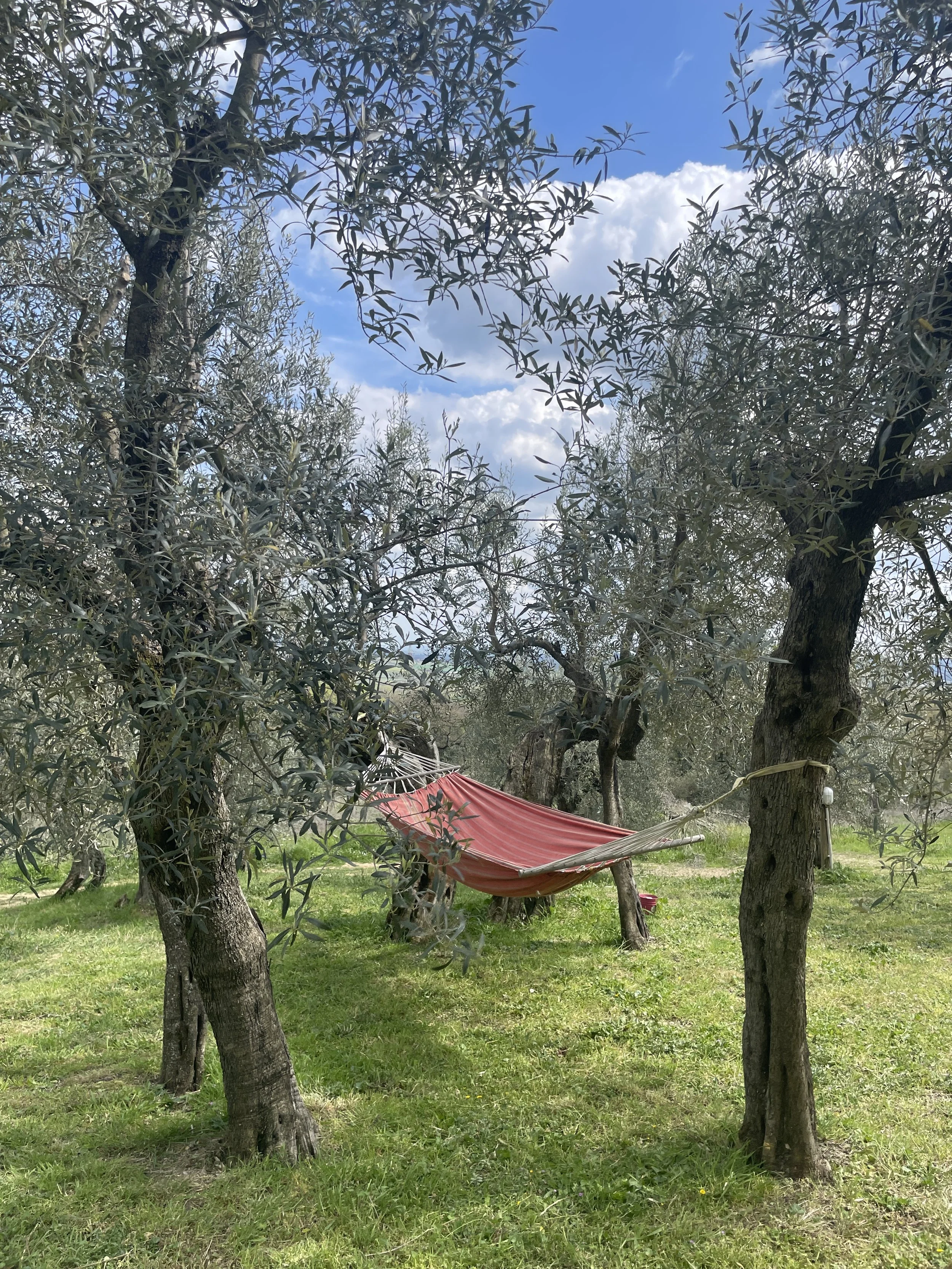 CASA SOLE - HAMMOC AREA