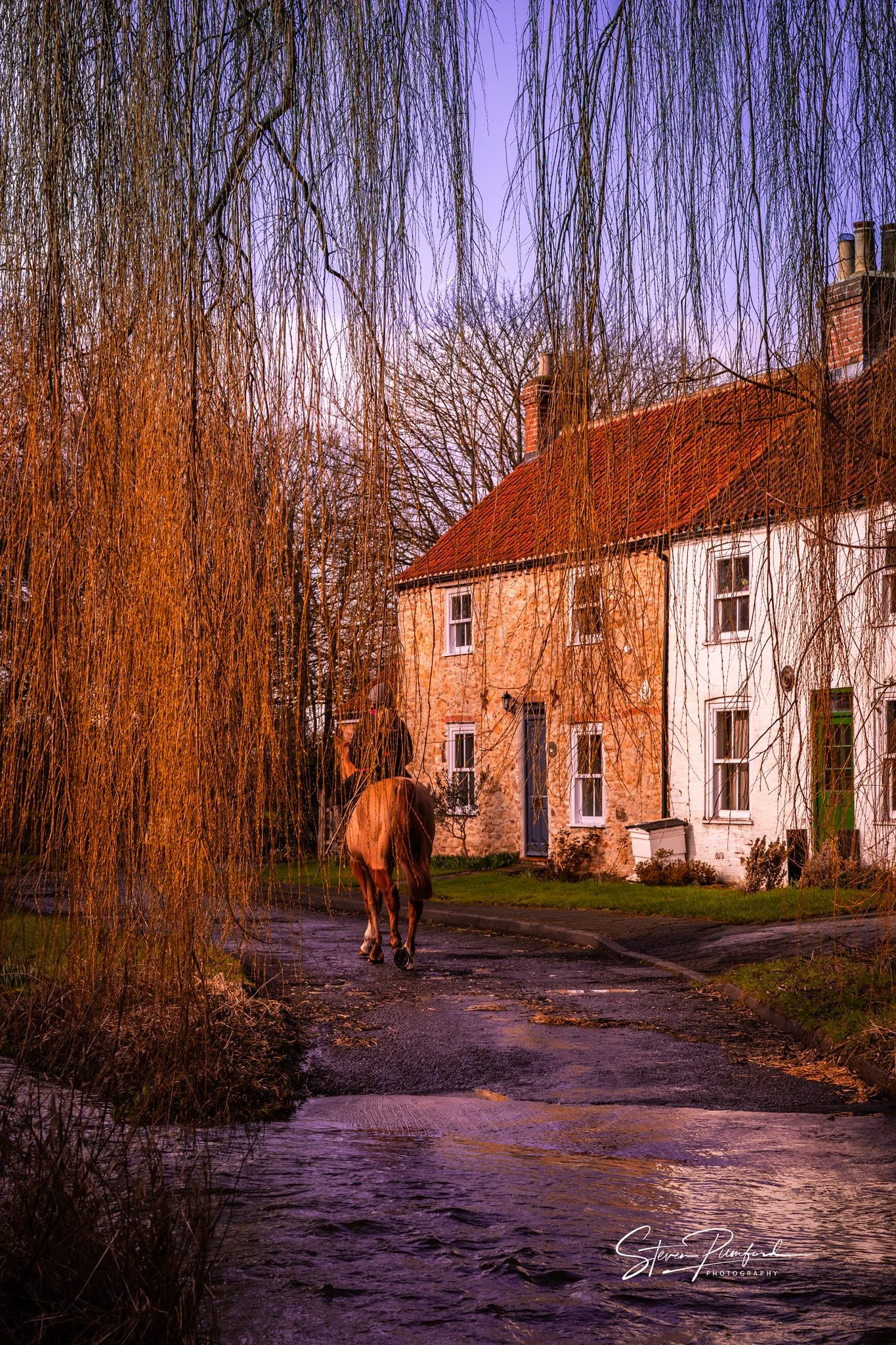 A house with a red tile roof and brick chimney seen behind leafless trees with hanging branches, with a horse walking on a wet road near a small water creek, during twilight.