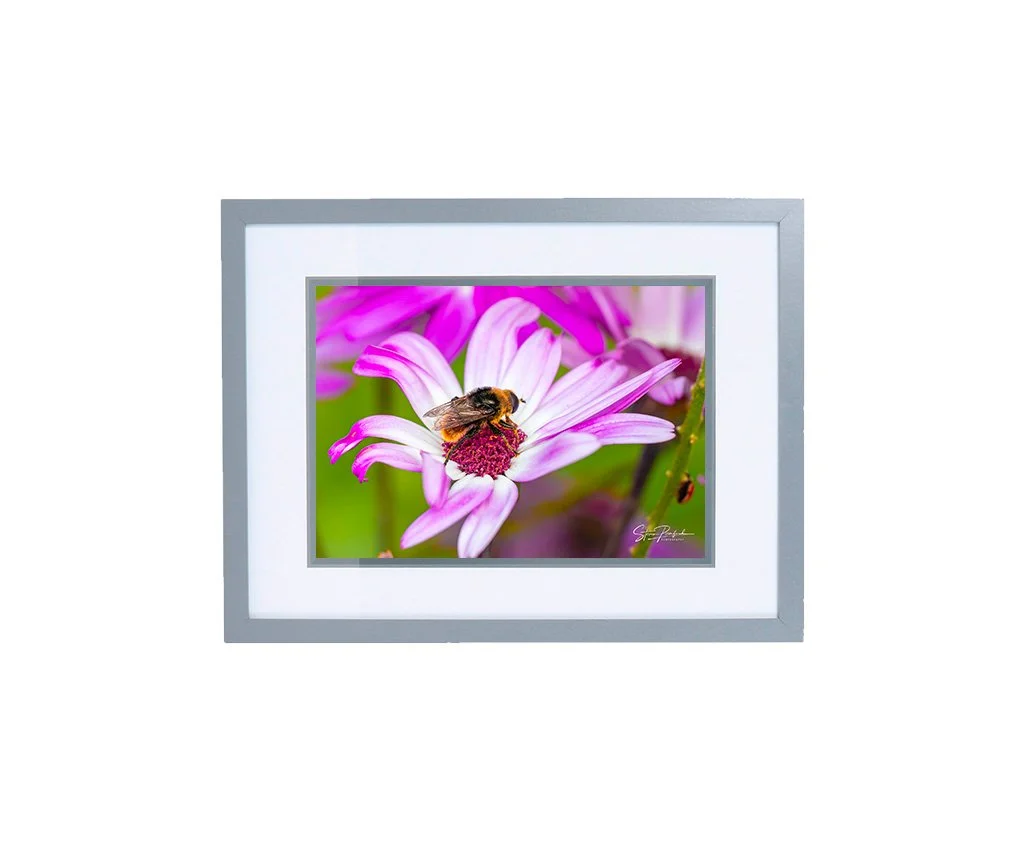 Frame_GRY_Landscape_BEE01_PROD.jpg