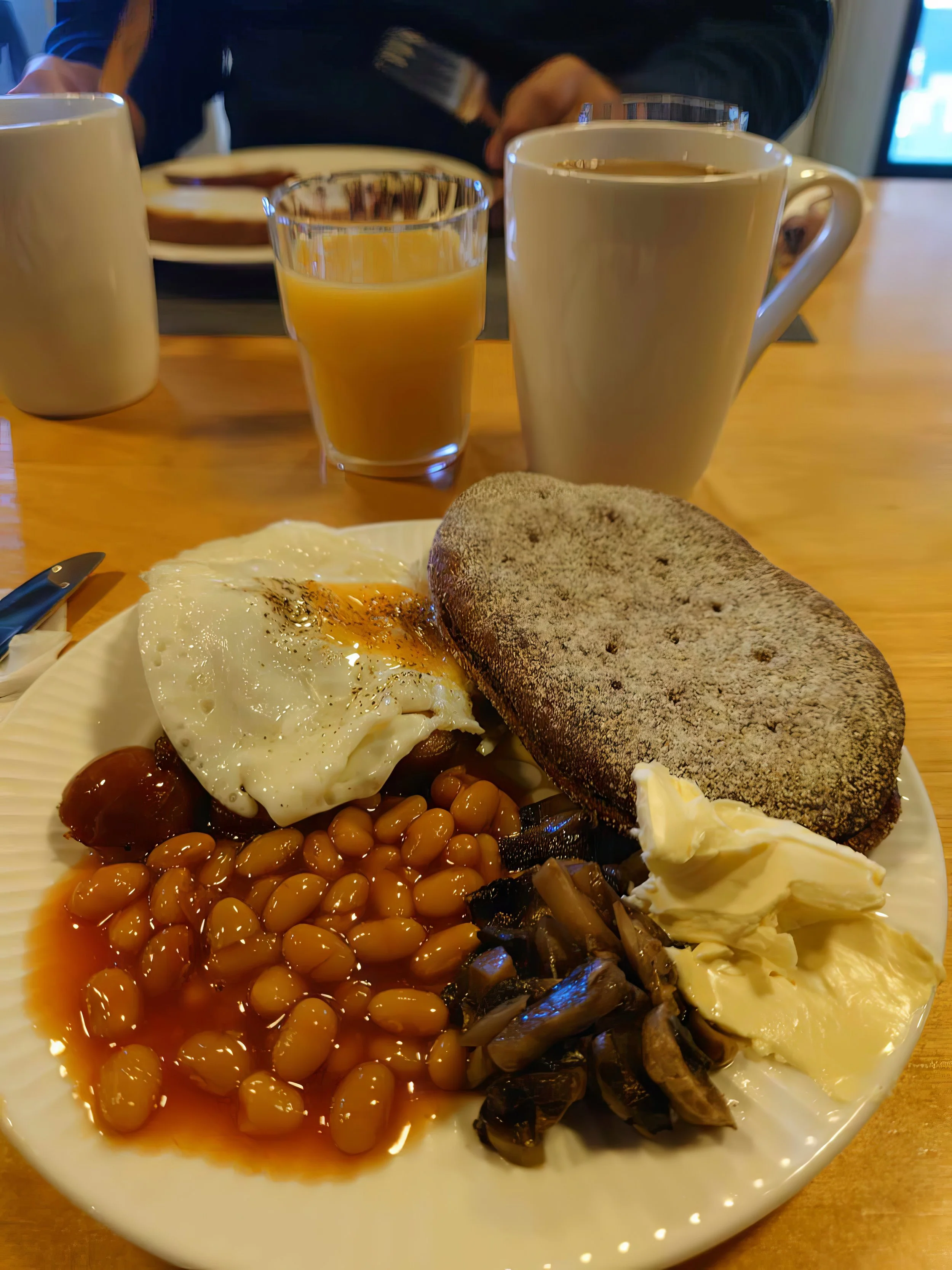 Breakfast served before wildlife photography session