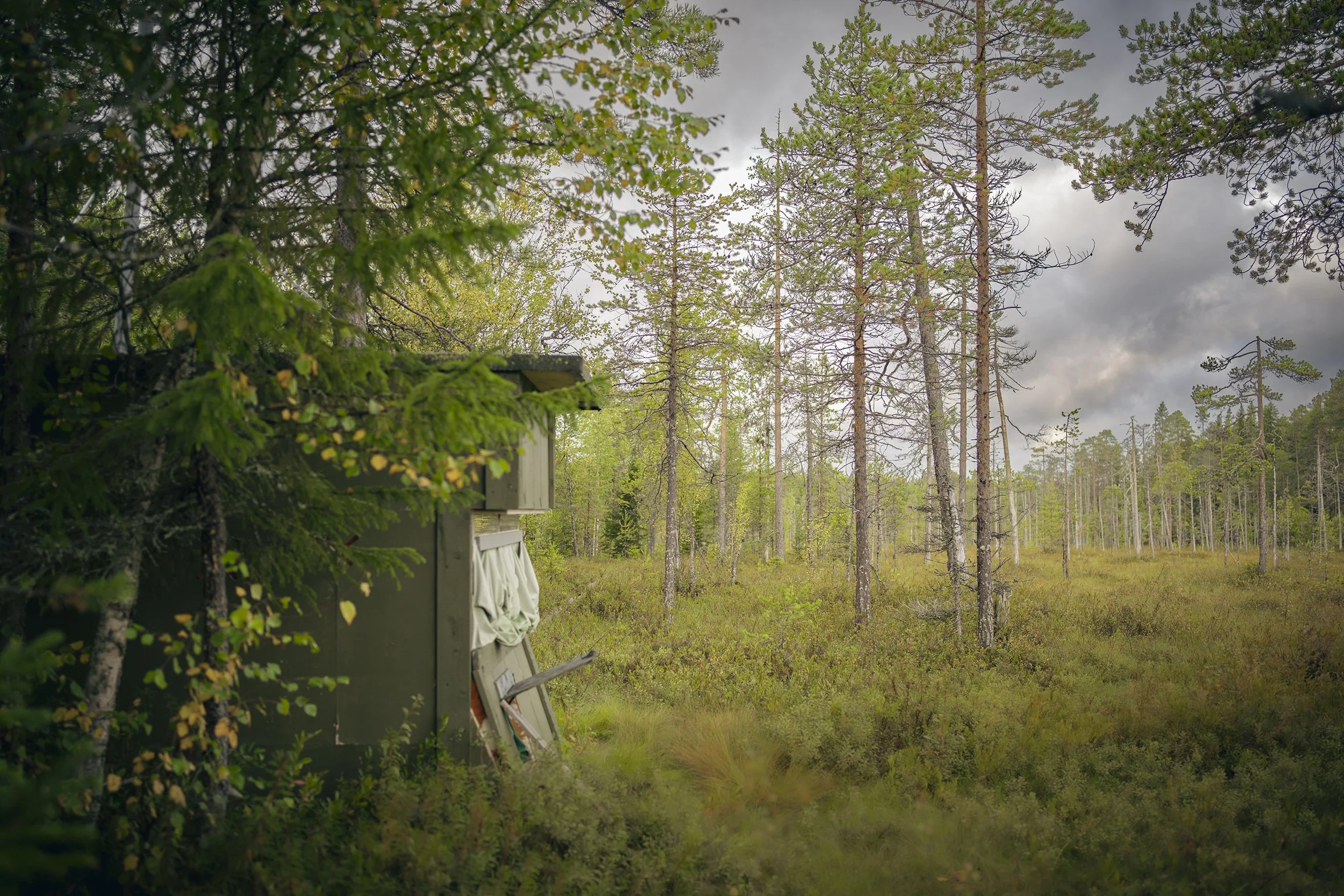 Photo hide in Finland