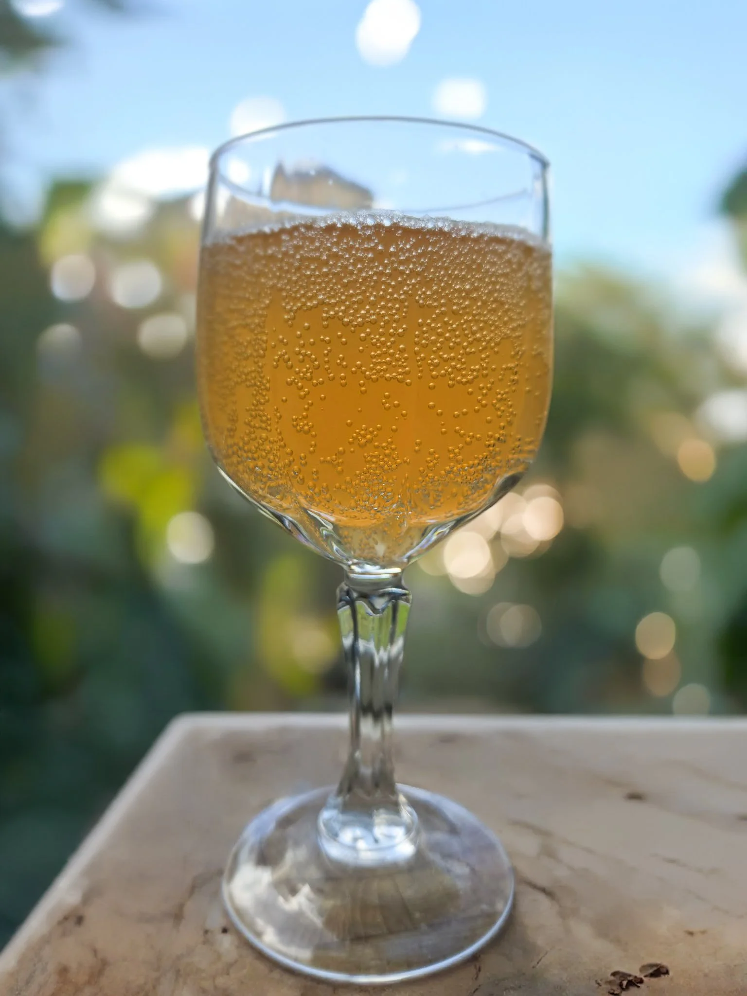 cider  done.jpg
