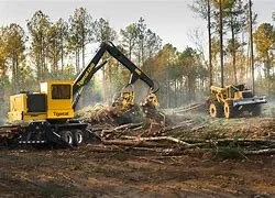 Excavator and bulldozer clearing fallen trees in a forested area