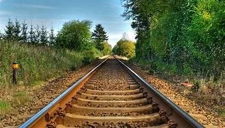View of railway tracks extending into the distance surrounded by green trees and foliage.