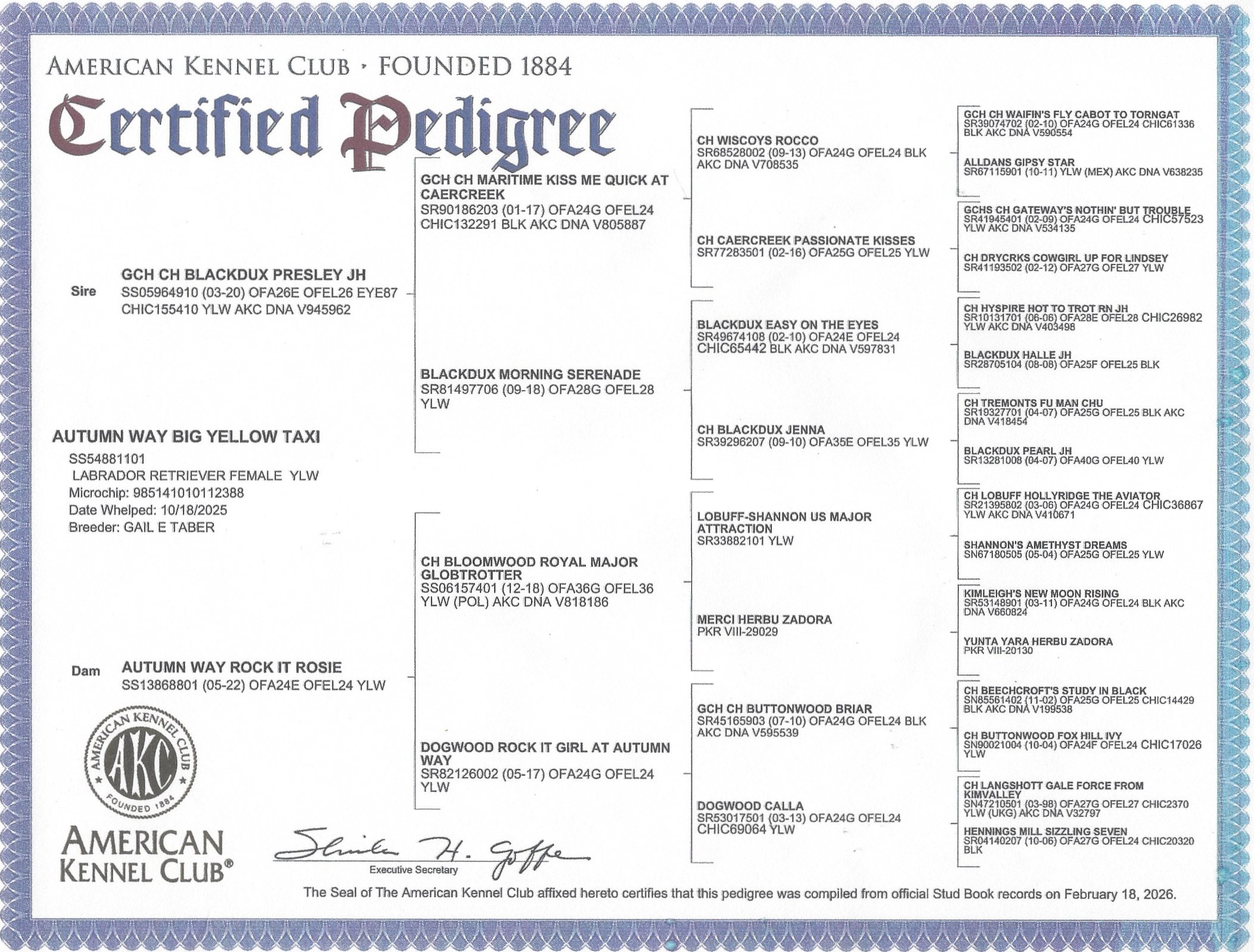 Certificate of pedigree from the American Kennel Club for a dog named GCH CH Blackdux Presley JH, including detailed pedigree information, signatures, and official seals.