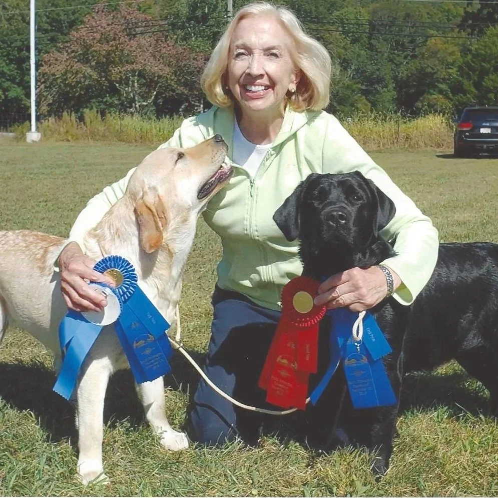 Gail Taber pictured with two of her Labrador Retrievers at a dog show with ribbons.