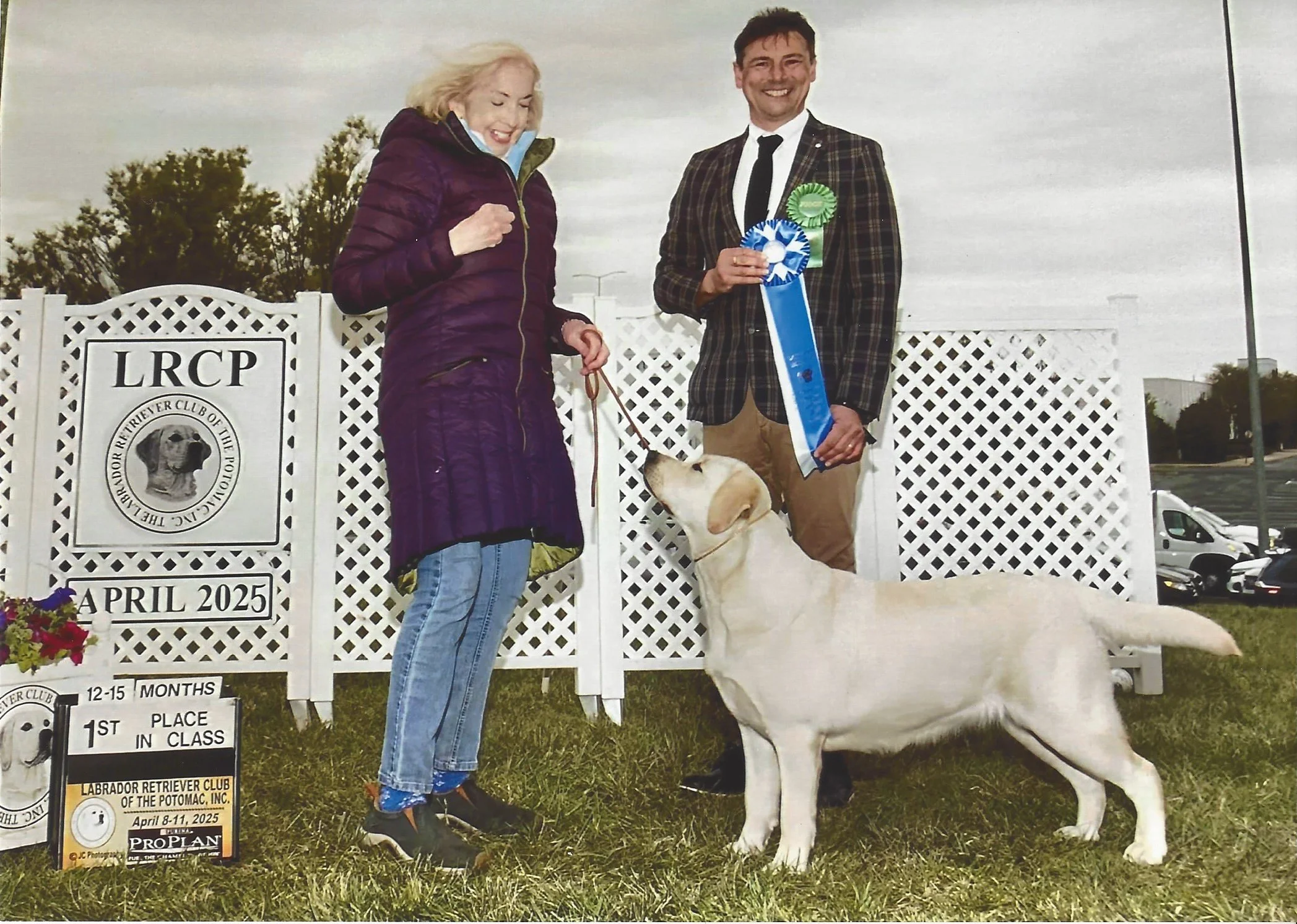 A woman and a man standing outdoors at an awards event for a Labrador Retriever competition, with the woman holding a small dog and the man holding a large blue and white ribbon. They are smiling, and there are signs and banners in the background.