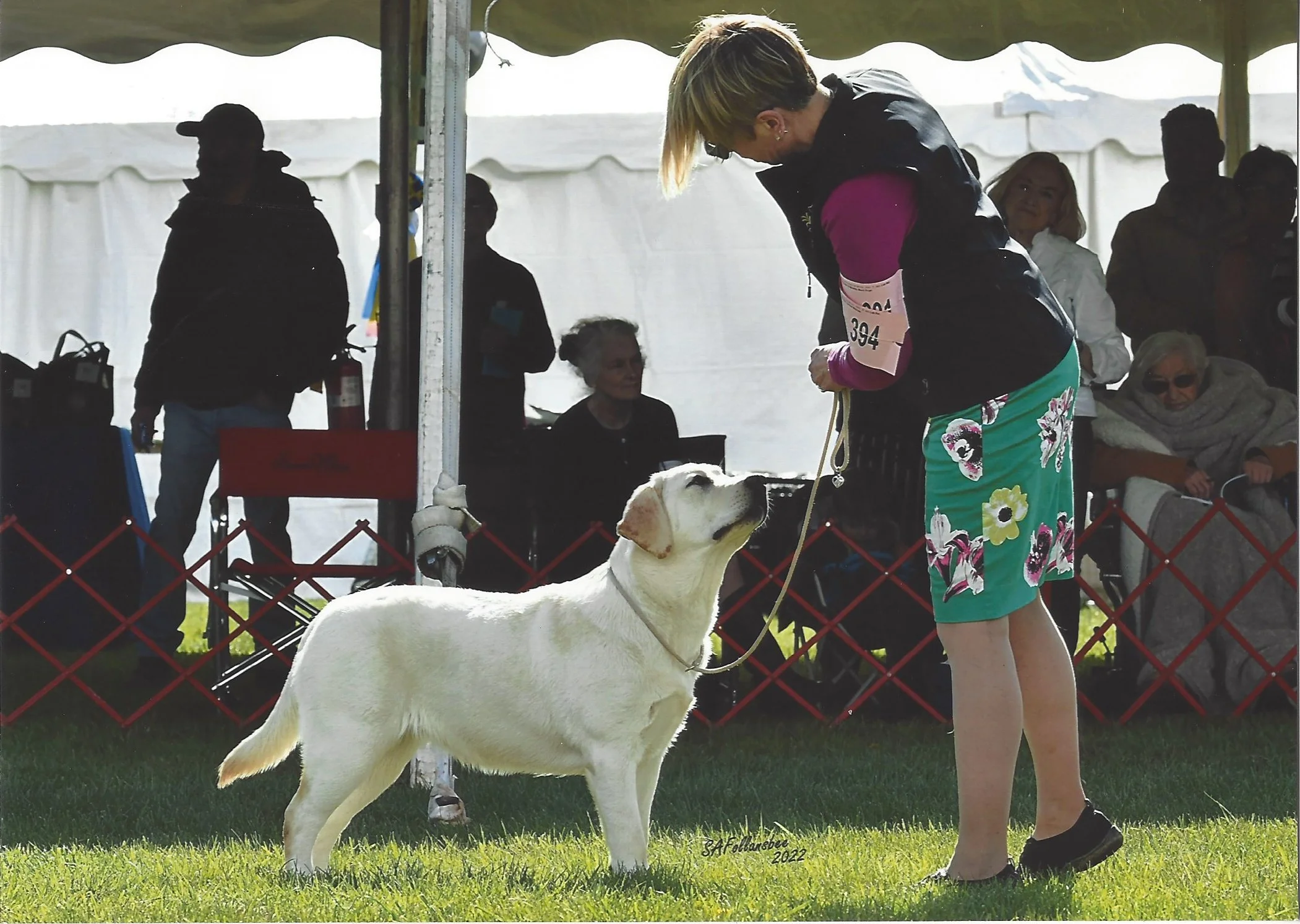 A woman with short blonde hair wearing a pink shirt and floral shorts is standing with a large white dog at an outdoor event under a tent, with people sitting and standing in the background.