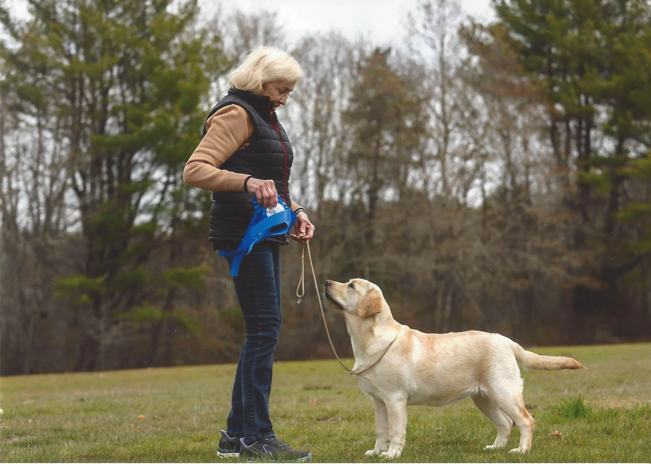 A woman with blonde hair dressed in a black vest and jeans standing outdoors in a park, holding a leash and a blue bag, while looking down at a large yellow Labrador Retriever dog sitting on the grass, with tree-covered hills in the background.