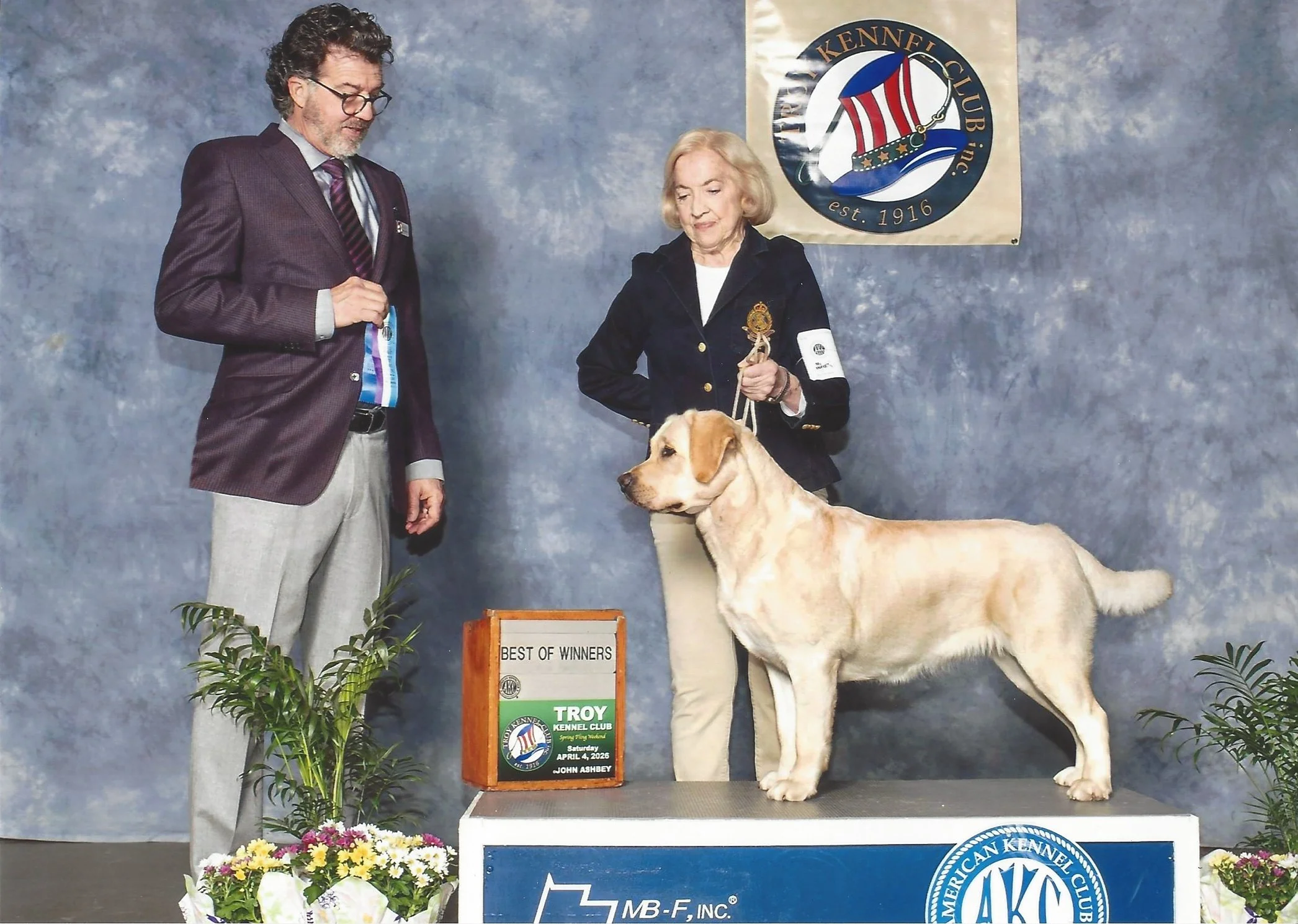 A woman and a man standing next to a large dog during an award ceremony at the American Kennel Club event. The woman is holding the dog’s leash, and the man is holding a ribbon. They are standing in front of a backdrop with the American Kennel Club logo, a sign that reads "Best of Winners," and a plant with flowers.
