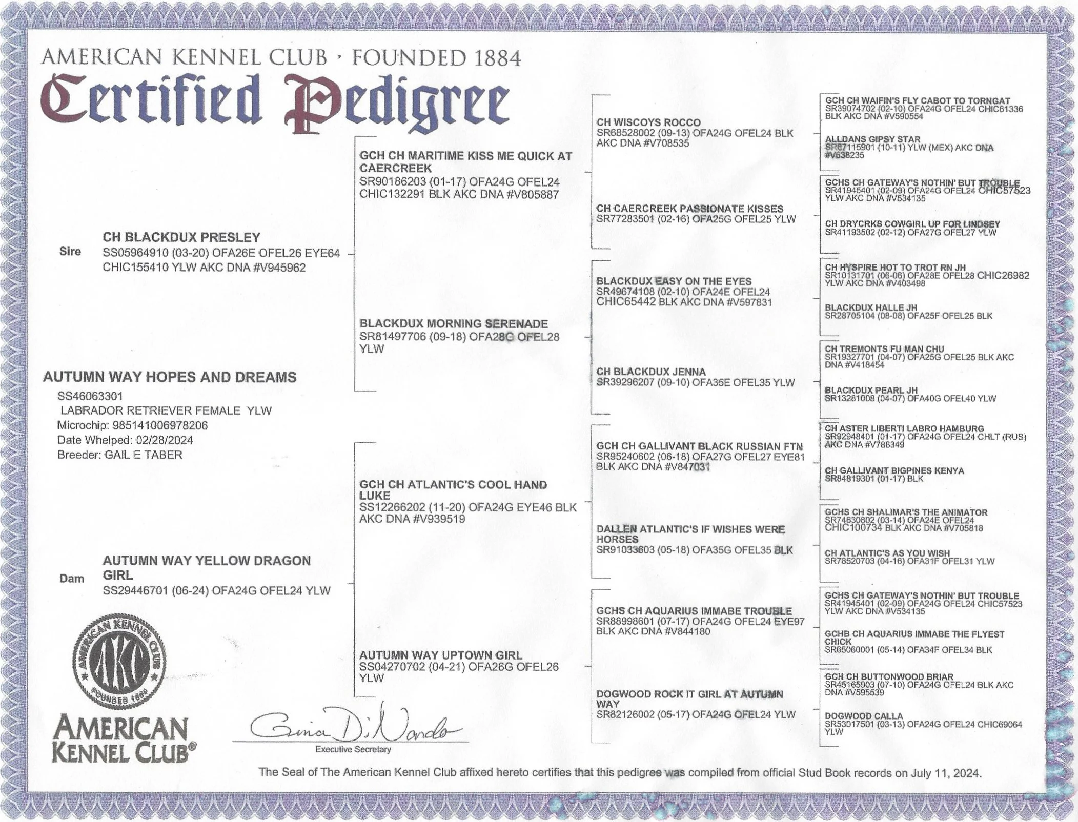Official pedigree certificate from the American Kennel Club for a Labrador Retriever female named Autumn Way Yellow Dragon Girl. The certificate includes details such as registration number, date of whelping, breeder's name, and various ancestors' names and registration numbers.