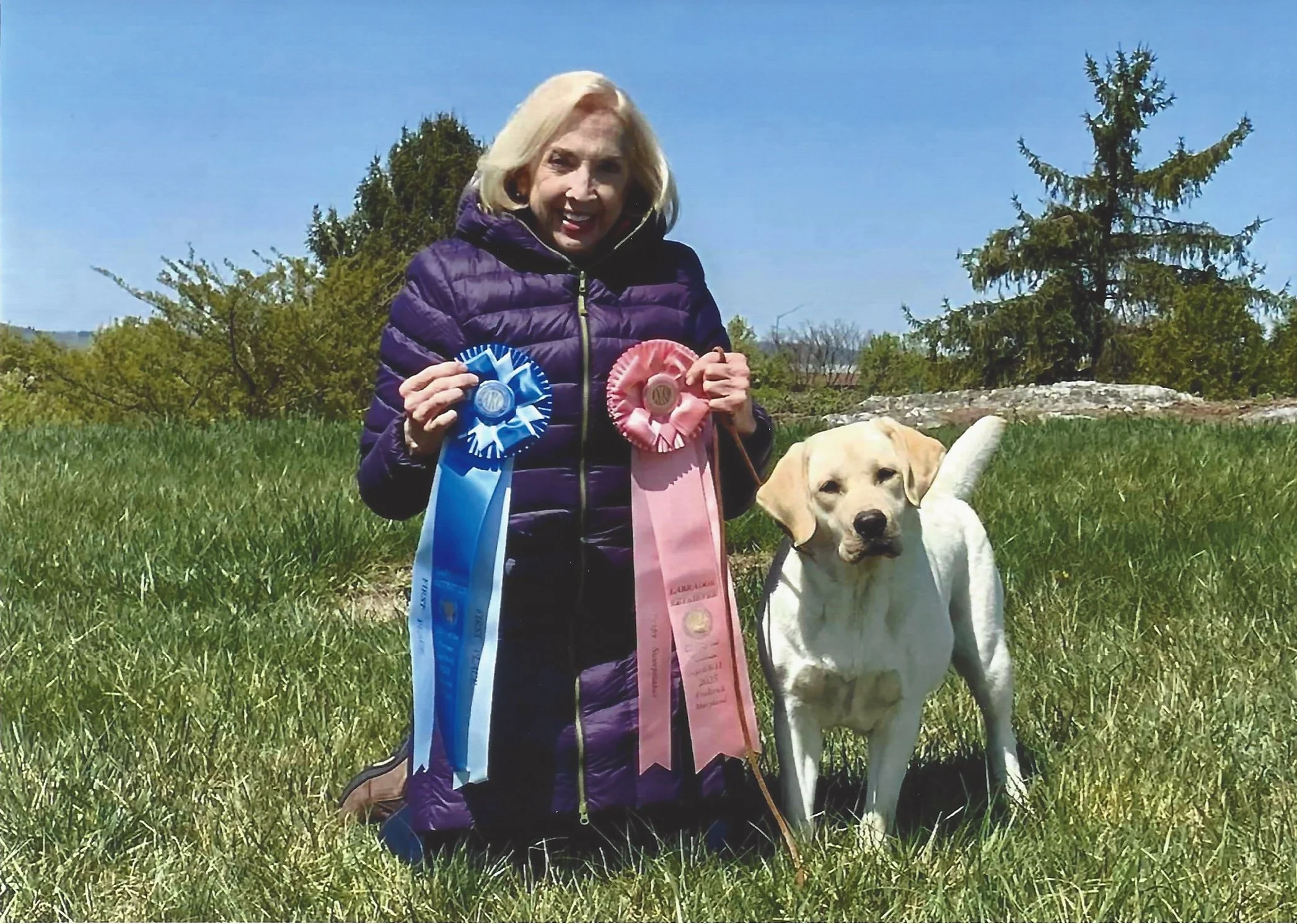 Woman with blonde hair in a purple jacket holding blue and pink ribbon awards, standing beside a white dog with a yellow patch on its ear on a grassy field with trees and a clear blue sky in the background.