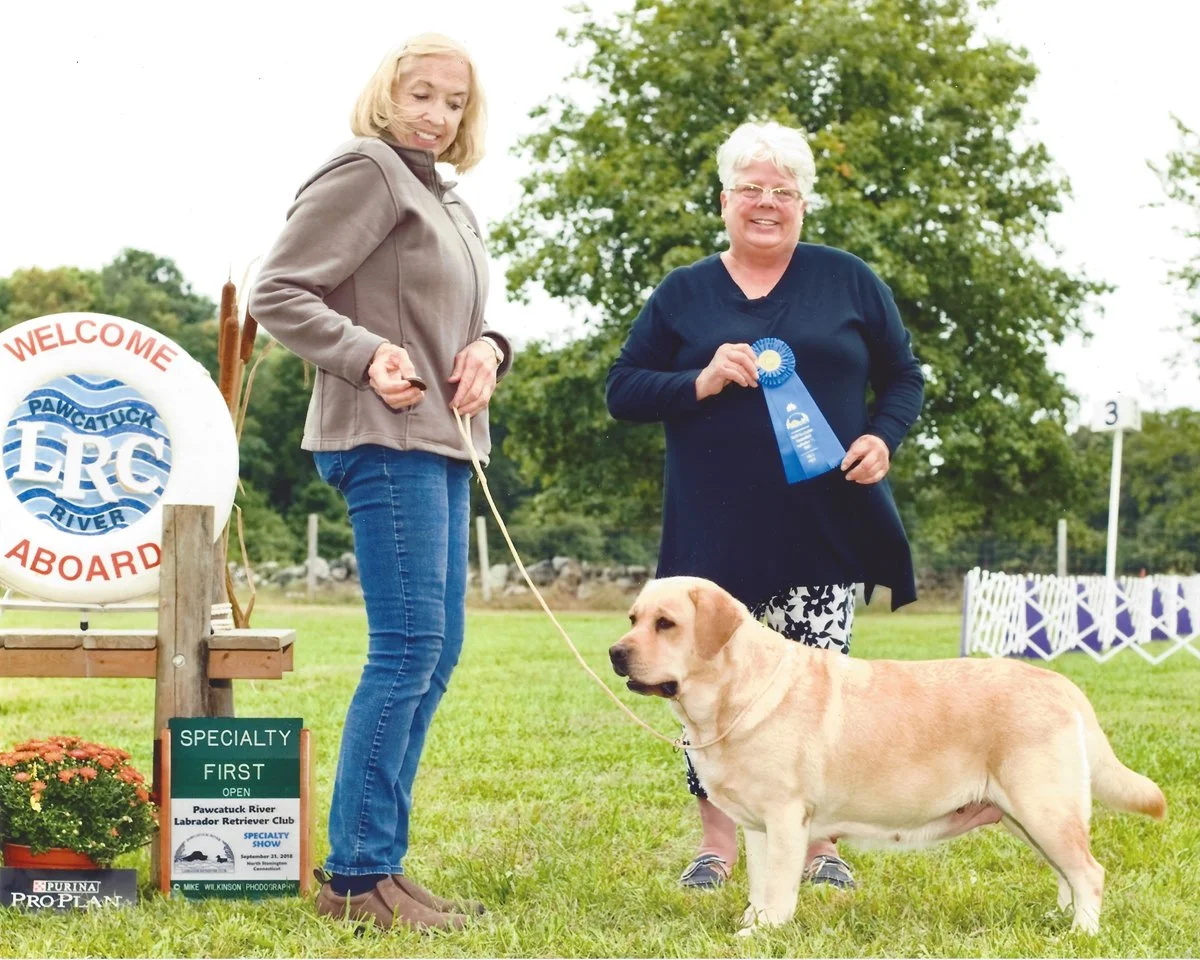 Two women, one holding a yellow Labrador Retriever, posing at an outdoor dog show. One woman is holding a blue ribbon, and there are signs, including one that says "FIRST" and mentions the Pawcatuck River Labrador Retriever Club. The setting is a grassy field with trees and show equipment in the background.