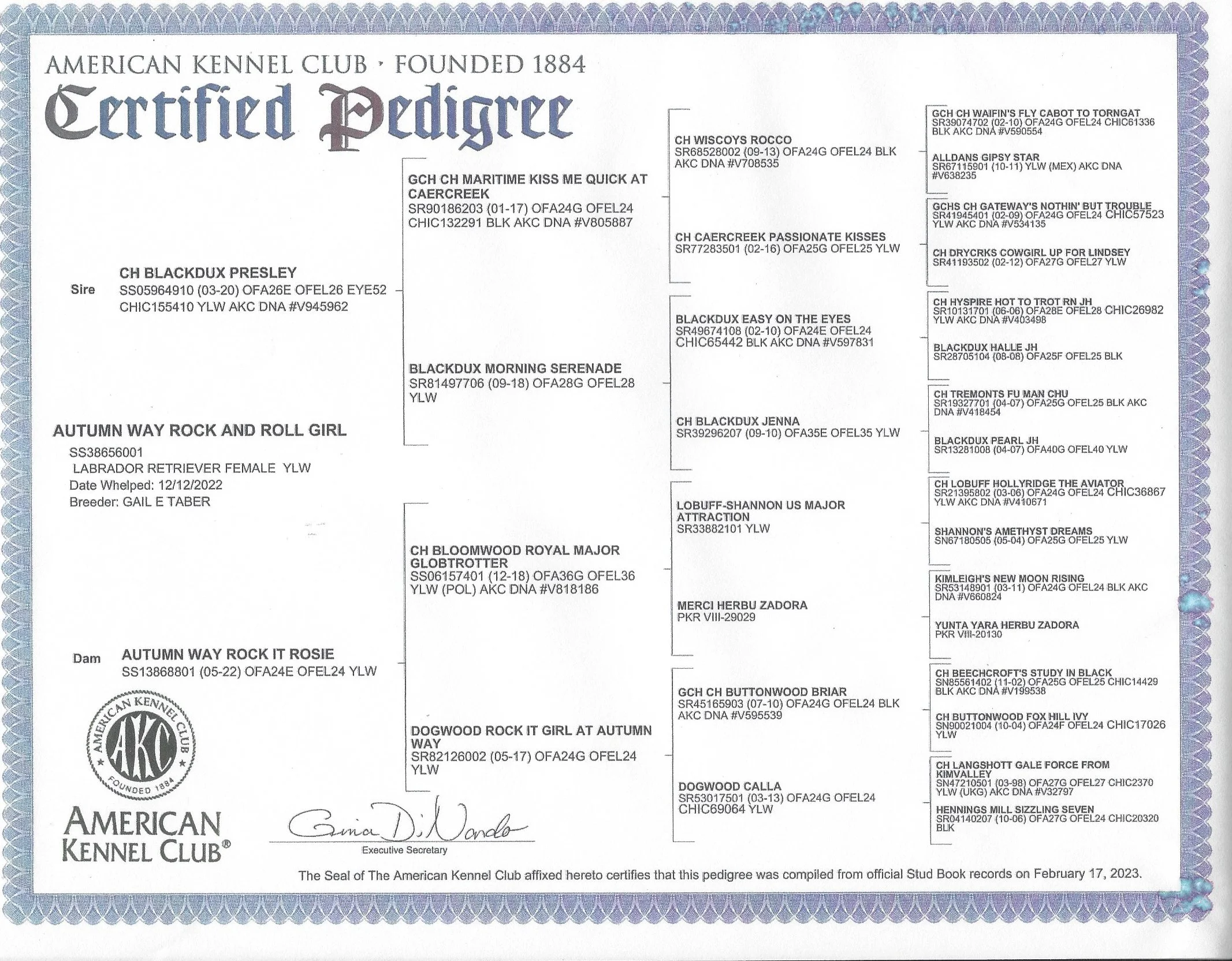 Official American Kennel Club certification document with pedigree details of a dog, including names, dates, and registration numbers.