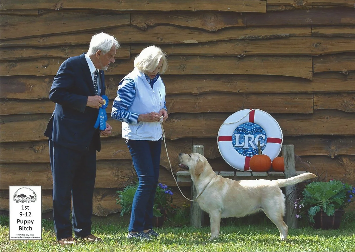 A man and a woman with a Labrador retriever at an outdoor dog show. The man holds a blue ribbon, and the woman is holding a leash attached to the dog. There is a life preserver with the letters LRC and pumpkins on a small bench, with potted flowers around them. A sign indicates the dog won first place in a puppy competition.