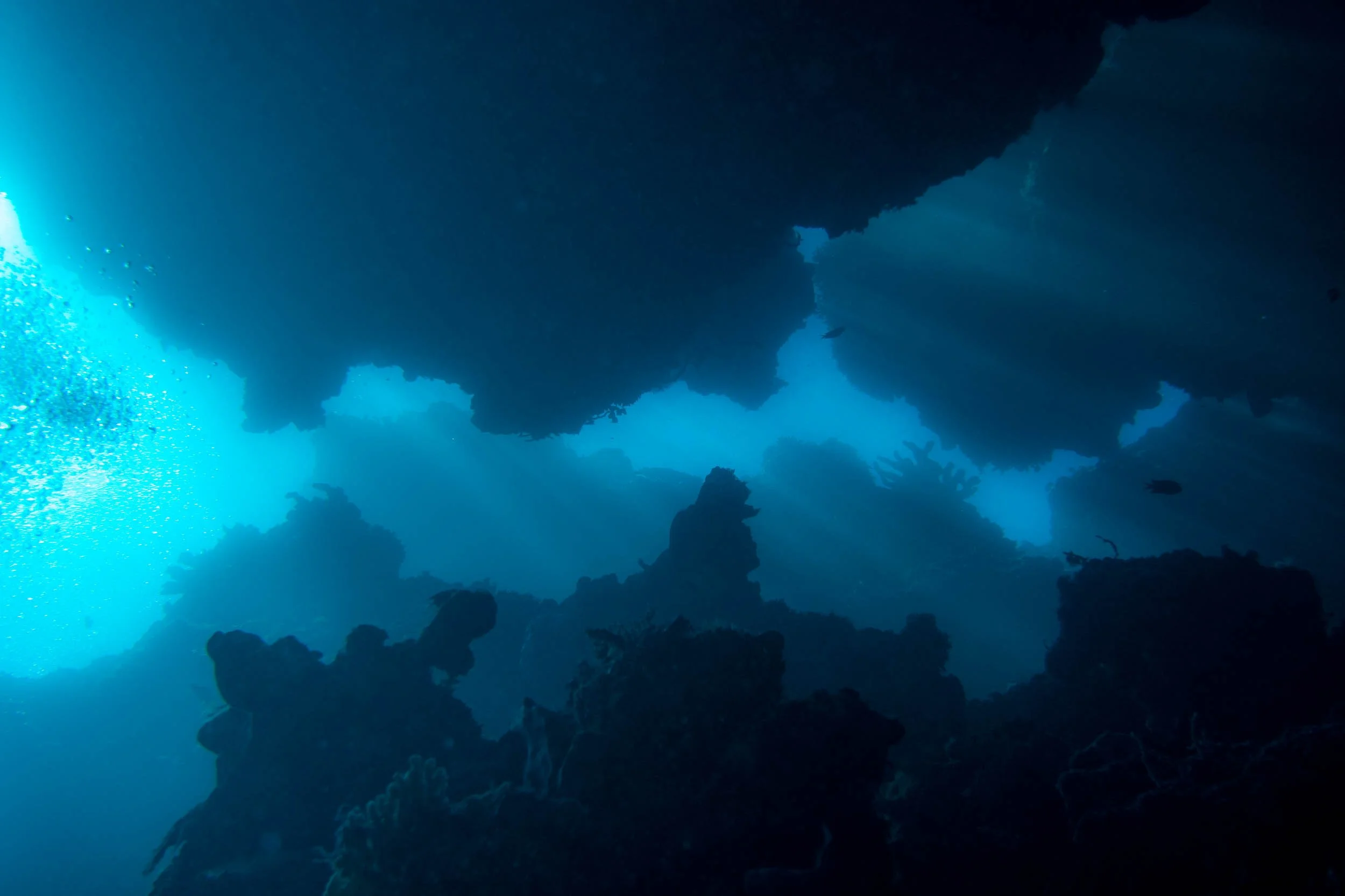 Underwater scene of a coral reef with rocks and a few small fish swimming near, viewed from below with sunlight filtering through the water.