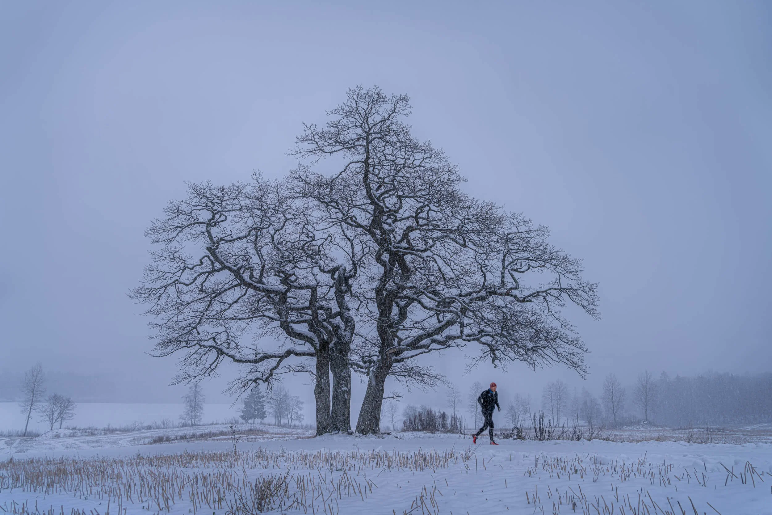 Blue cold day with a man running