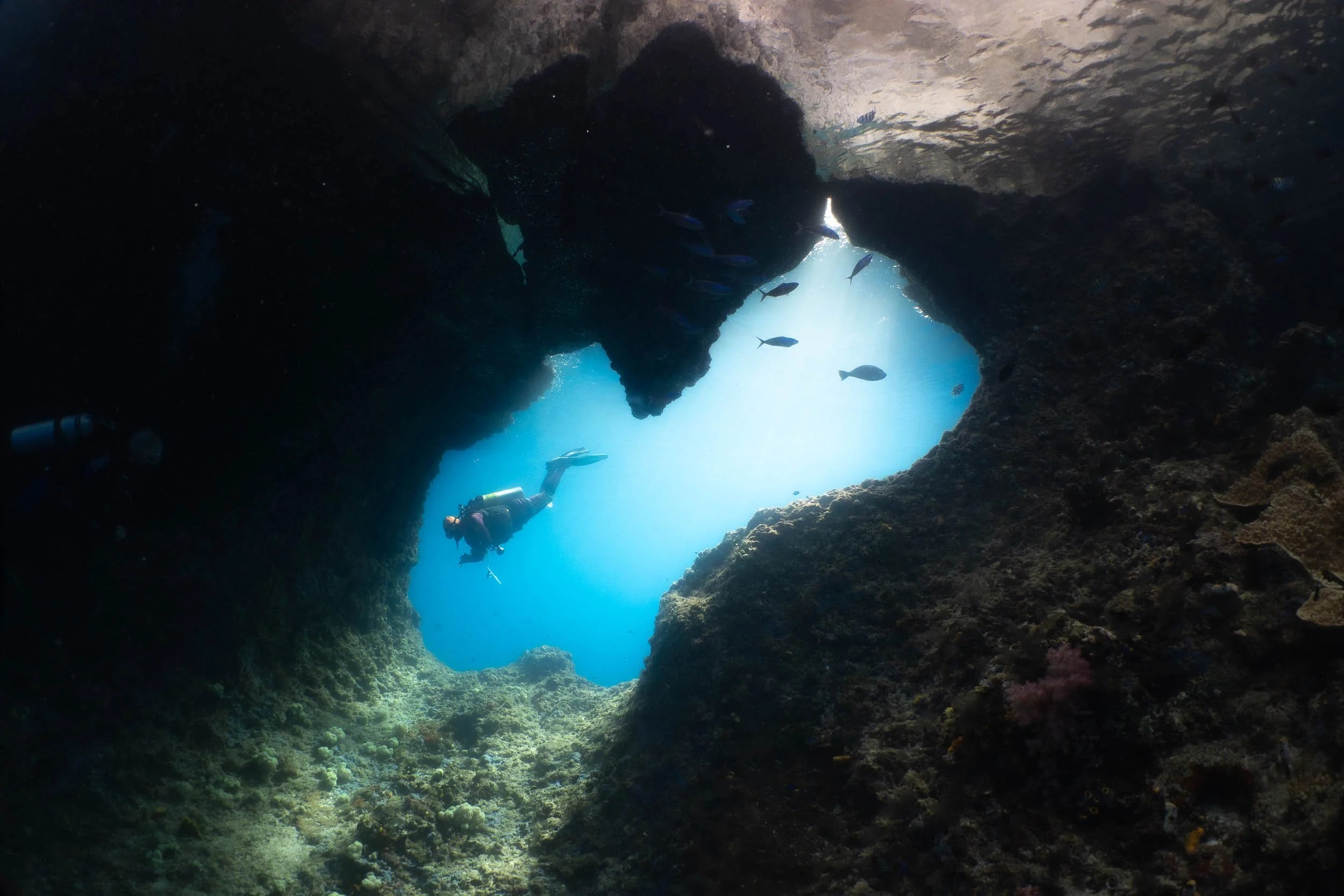 An underwater scene showing a diver exploring a rock formation with a natural arch and limestone coral reef, with fish swimming around in clear blue water.