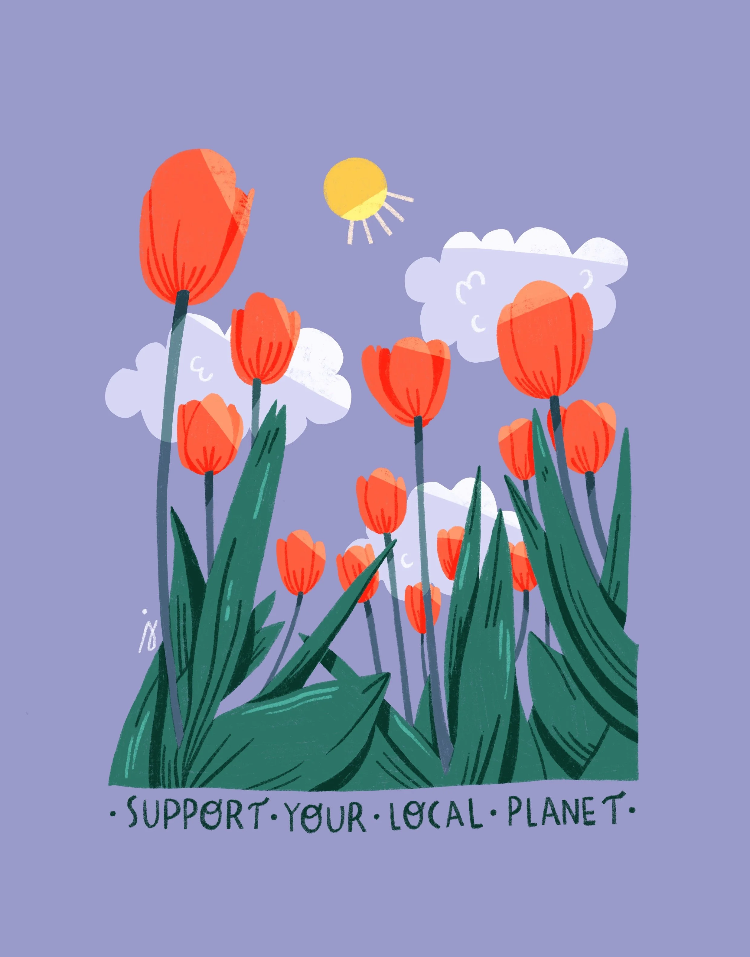 1_TULIP.jpg