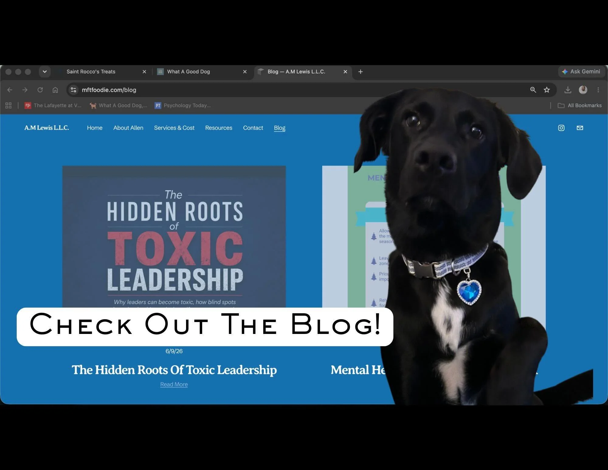 NEW BLOG POST ALERT! 

In our newest blog post, we explore why leaders can become toxic, how blind spots shape leadership, and why self-awareness may be the most important leadership skill of all.

Our nepotism hire is trying her best and slept as I 