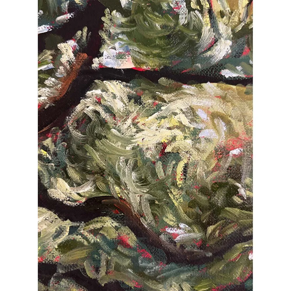 garden stream detail 7 SQUARE.jpg
