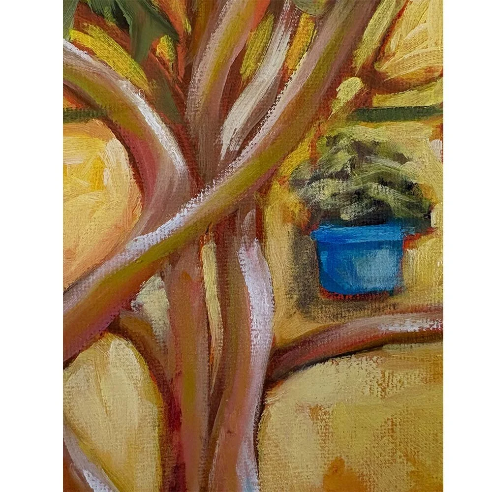 spanish detail 03 SQUARE.jpg