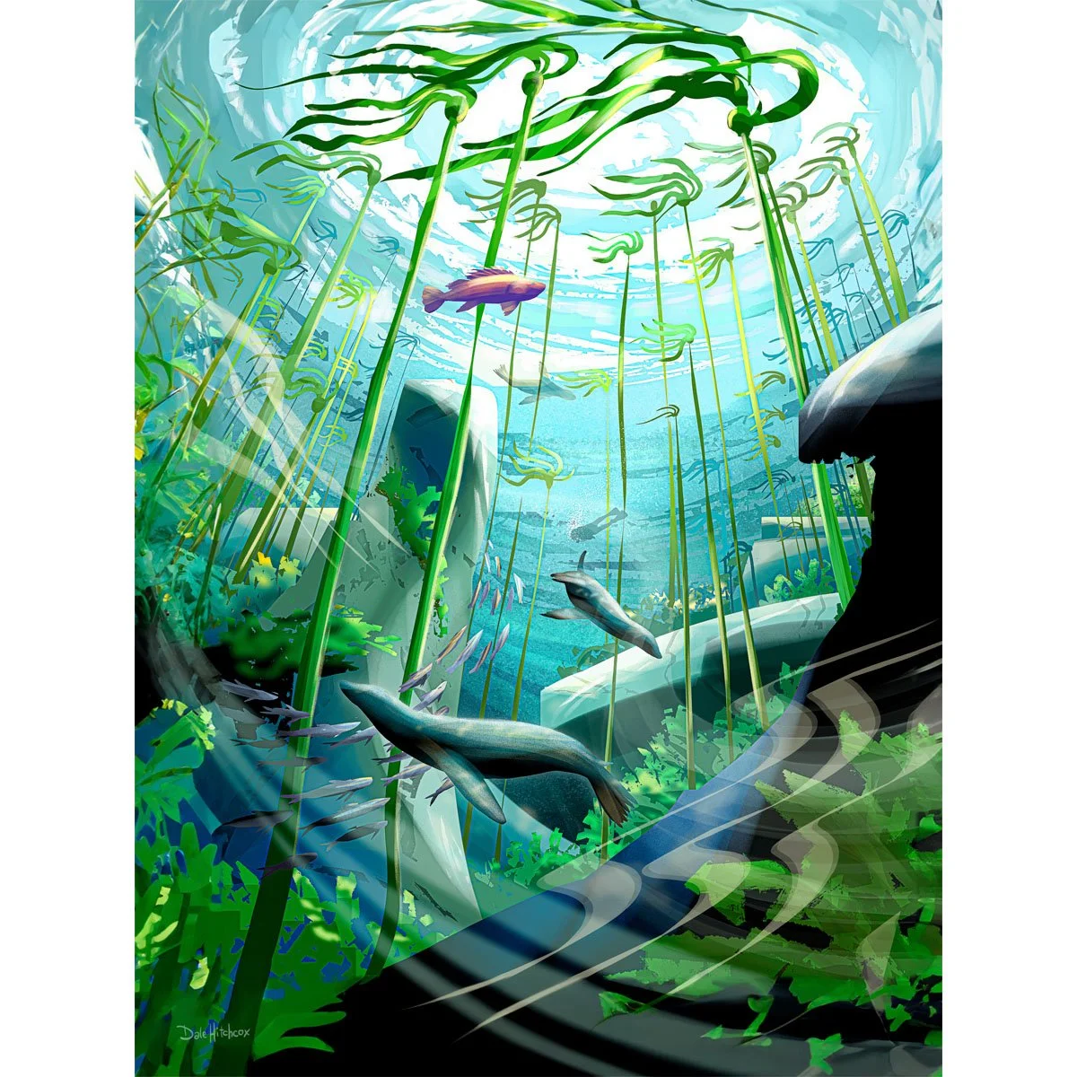 Kelp Forest