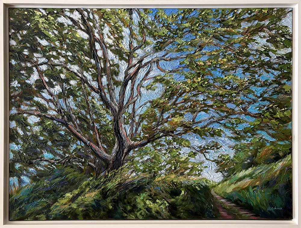 Gully Oak   Acrylic on canvas 18" x 24" $1,728