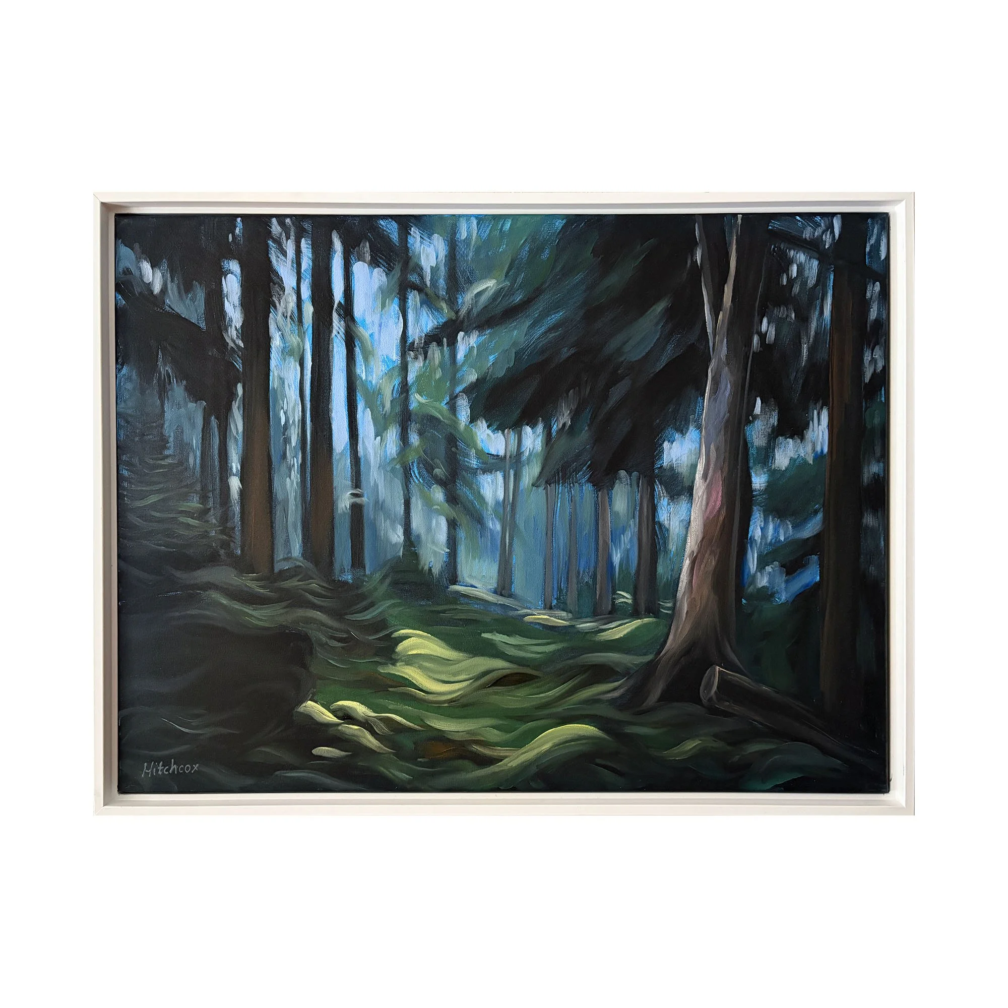 dark forest main SQUARE.jpg